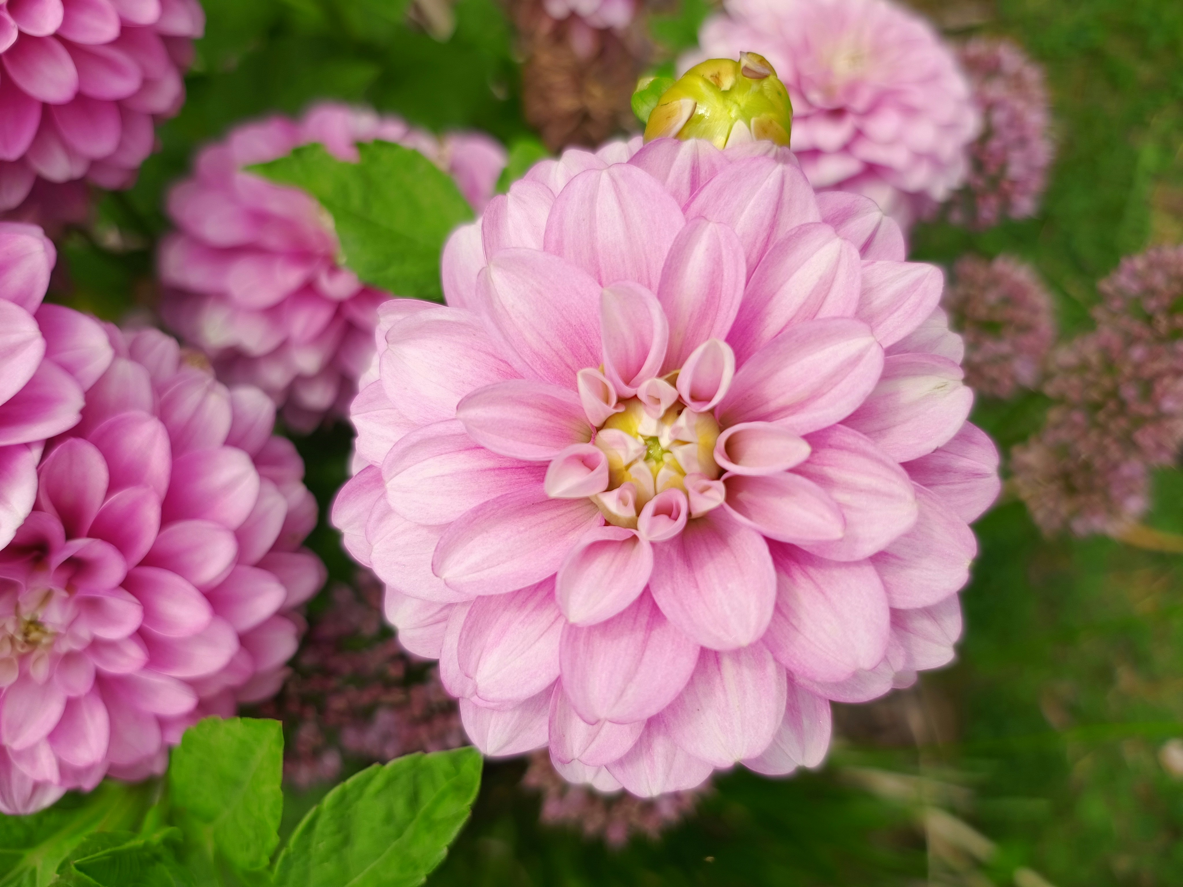 Photo by pieterbiesemans