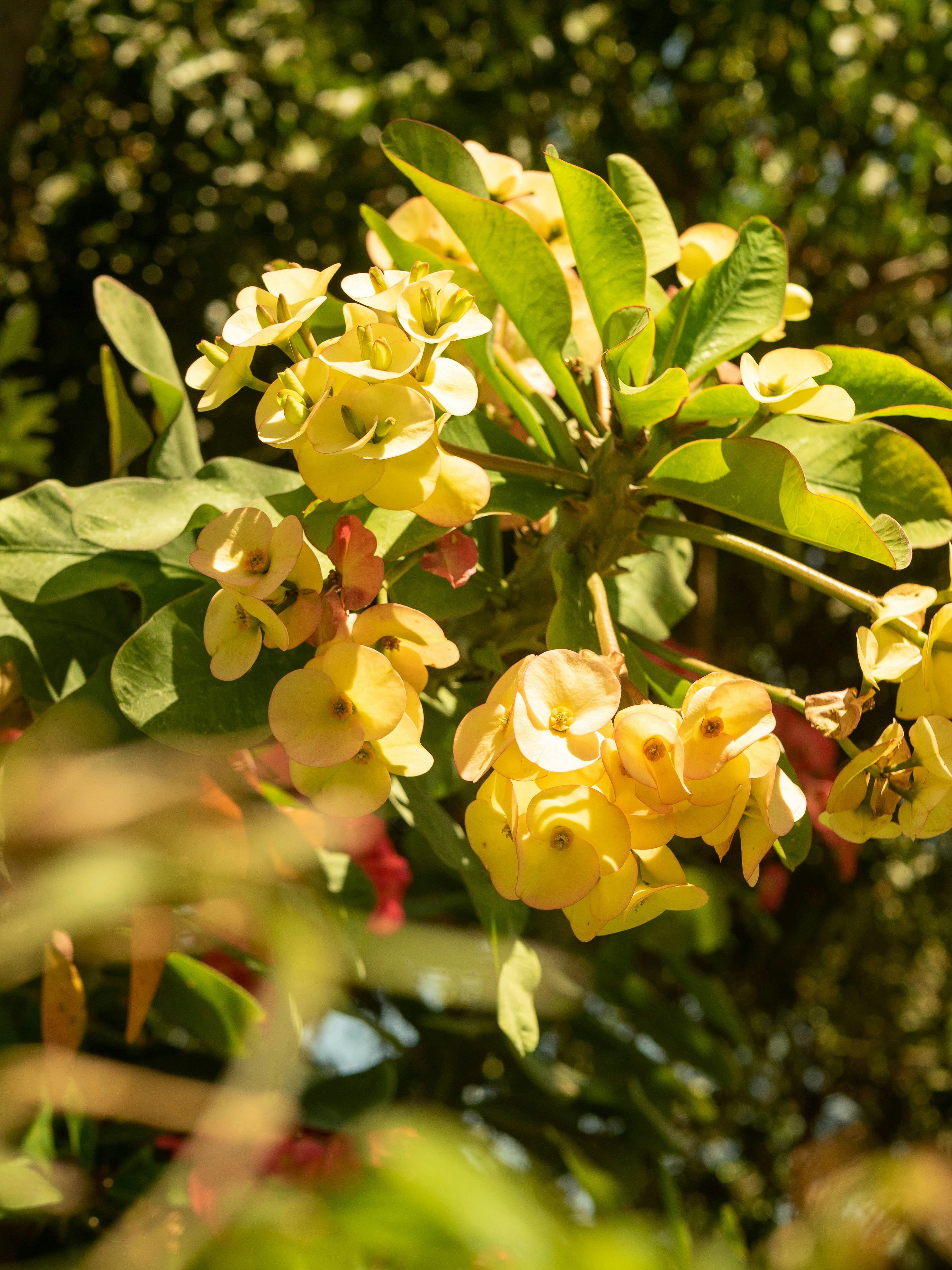 Photo by musonda_kjr