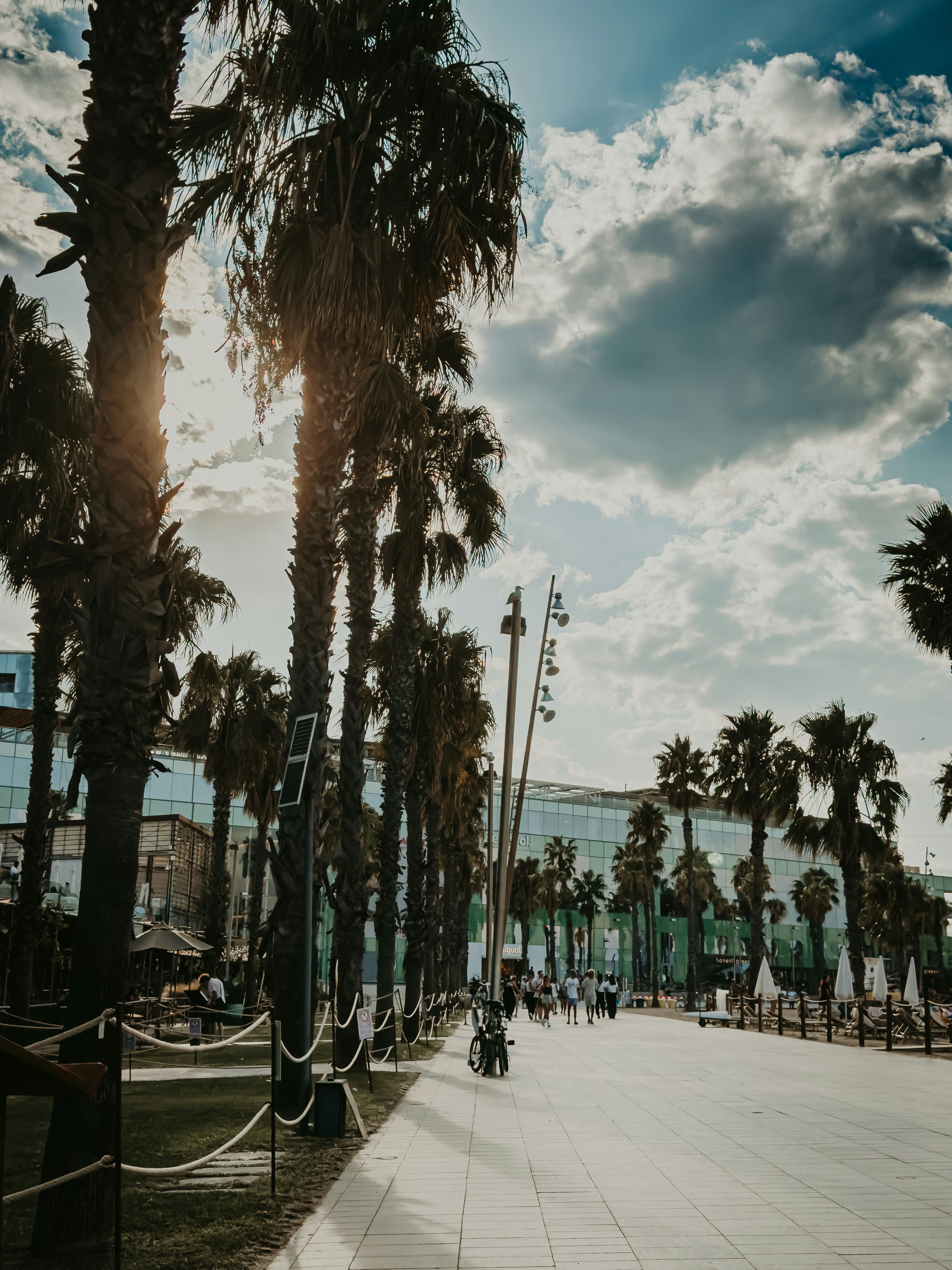 Photo by stefvisuals