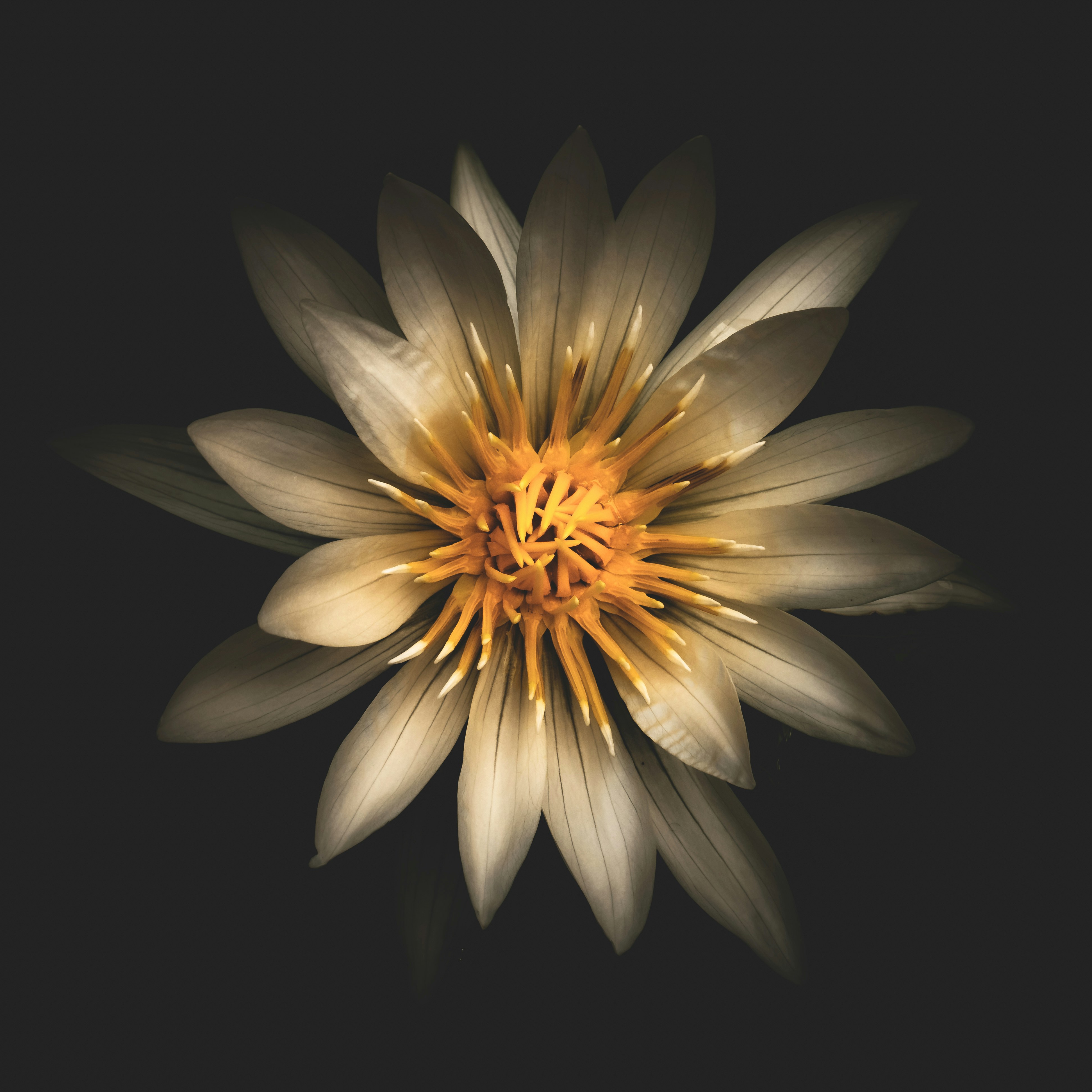 Photo by sschusterphotoart