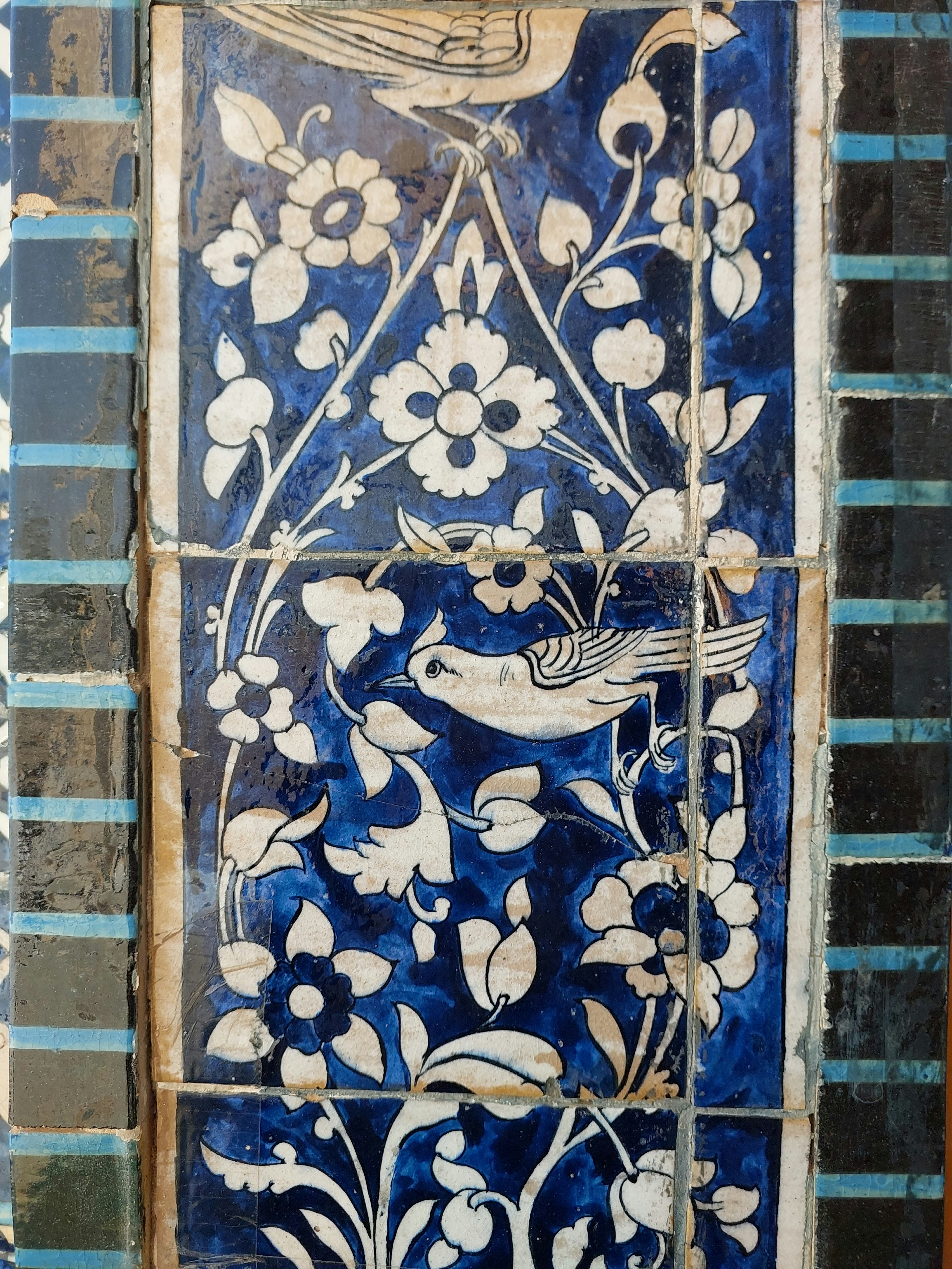 Photo by malihemahdavi