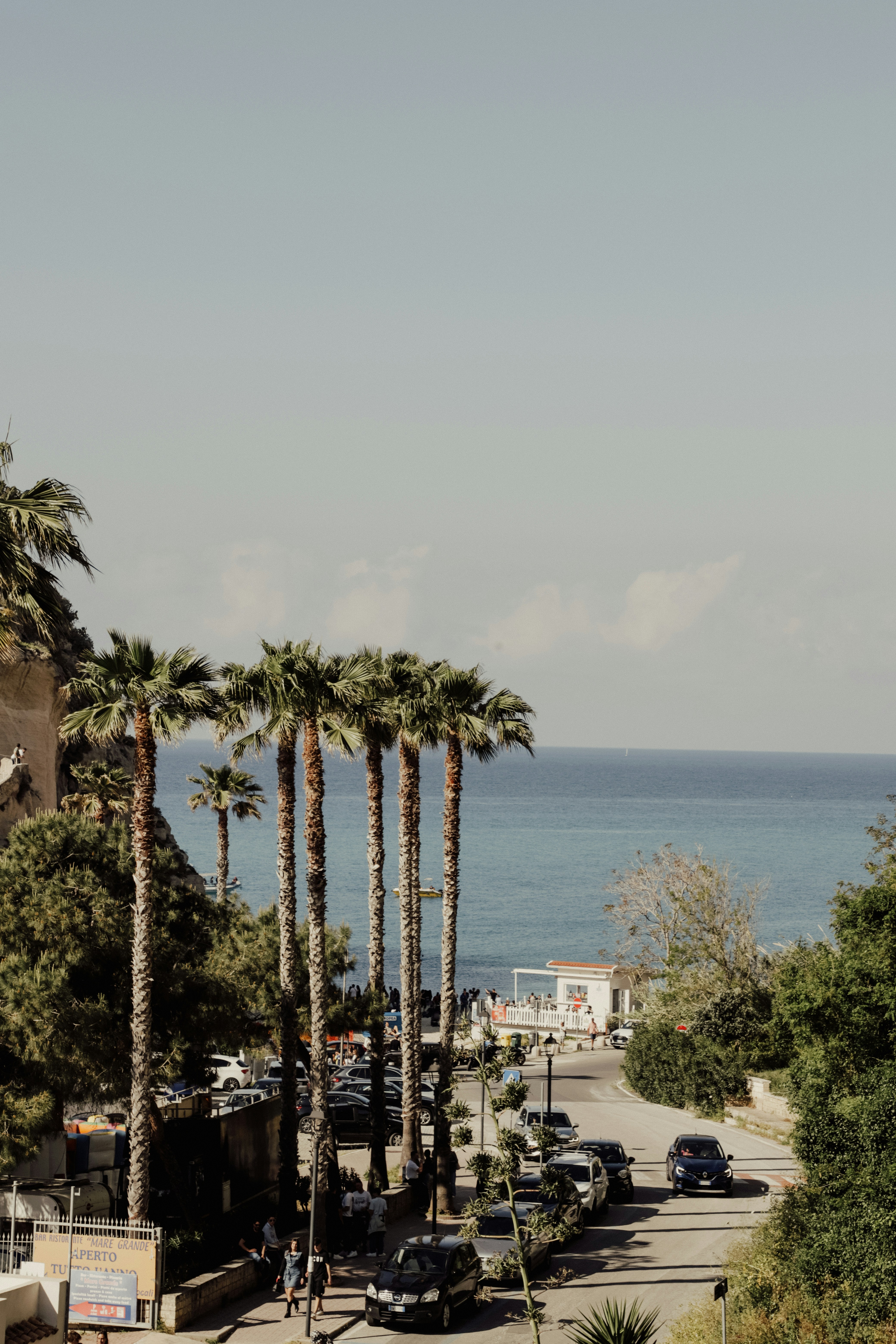 Palm trees line a coastal road with the ocean beyond.