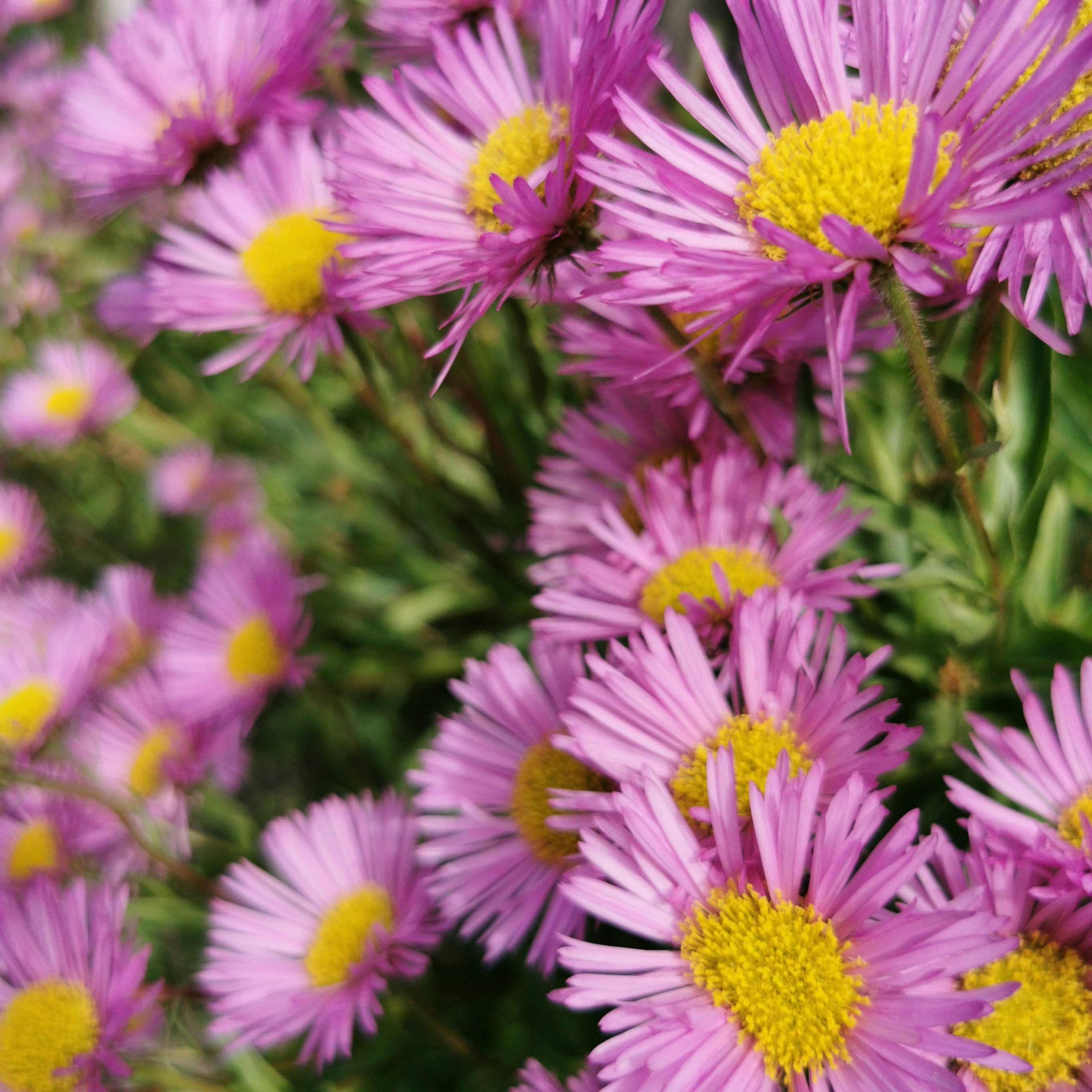 Photo by dloftusphoto