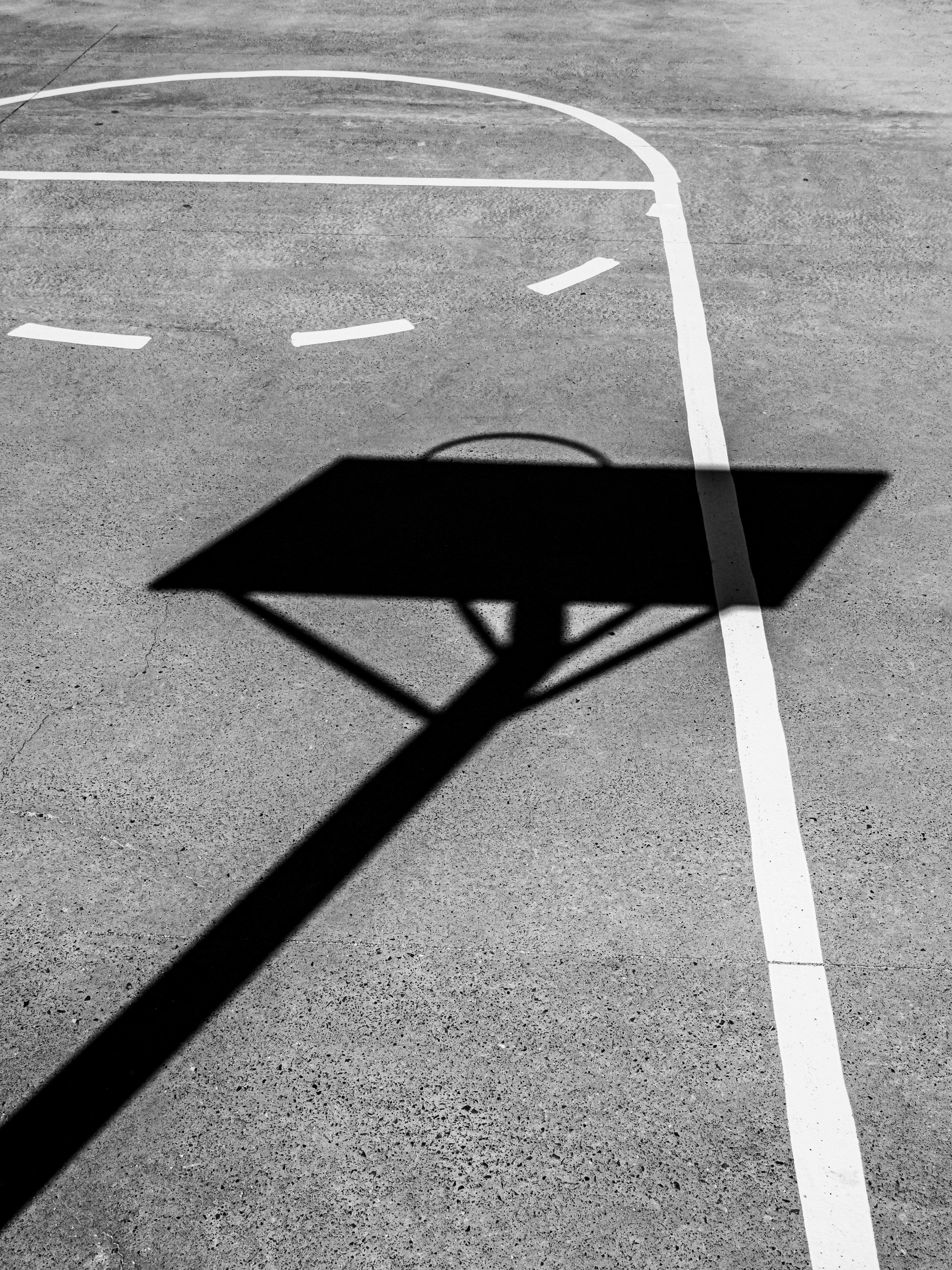 Photo by sschusterphotoart