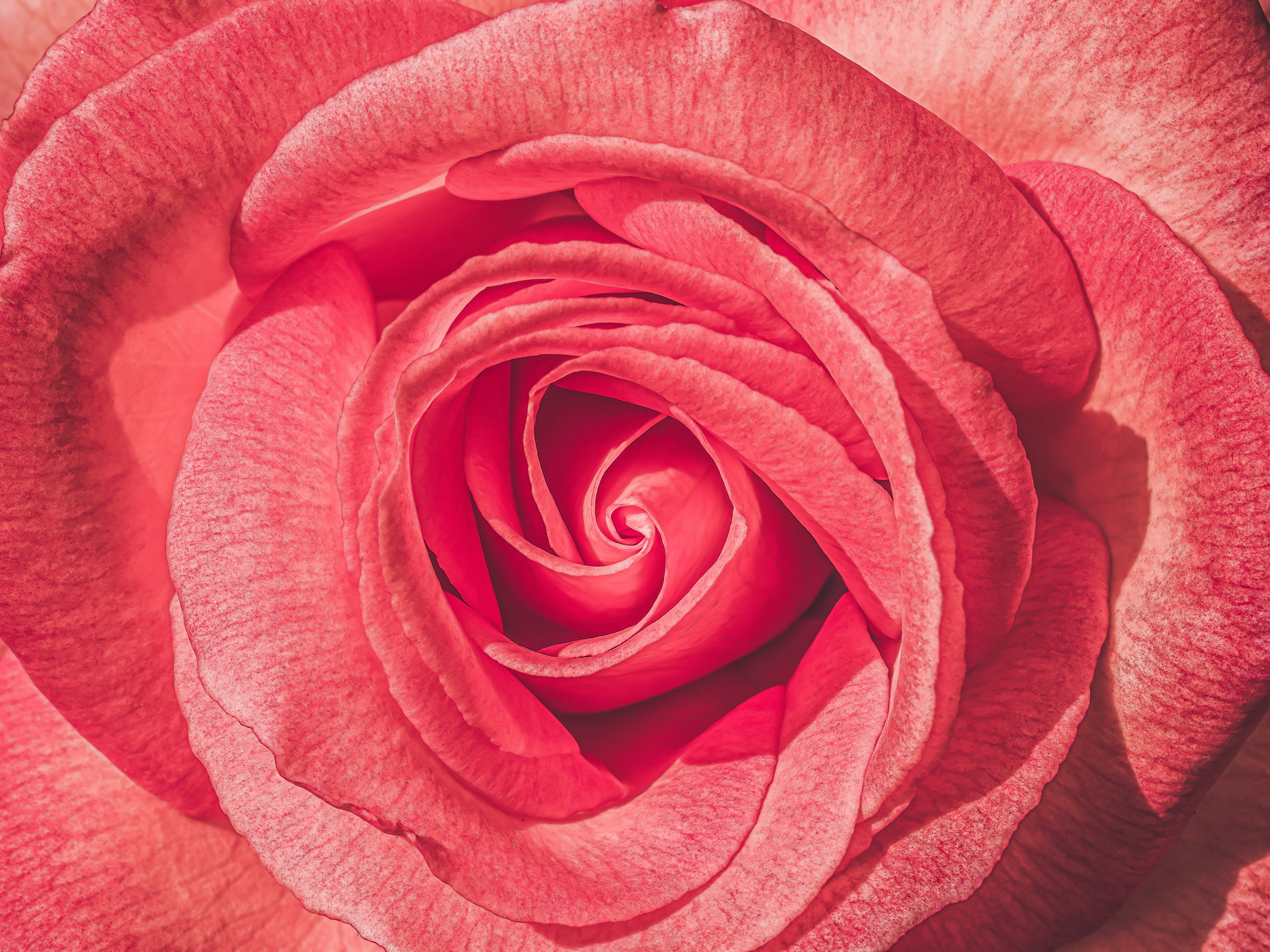 Photo by sschusterphotoart