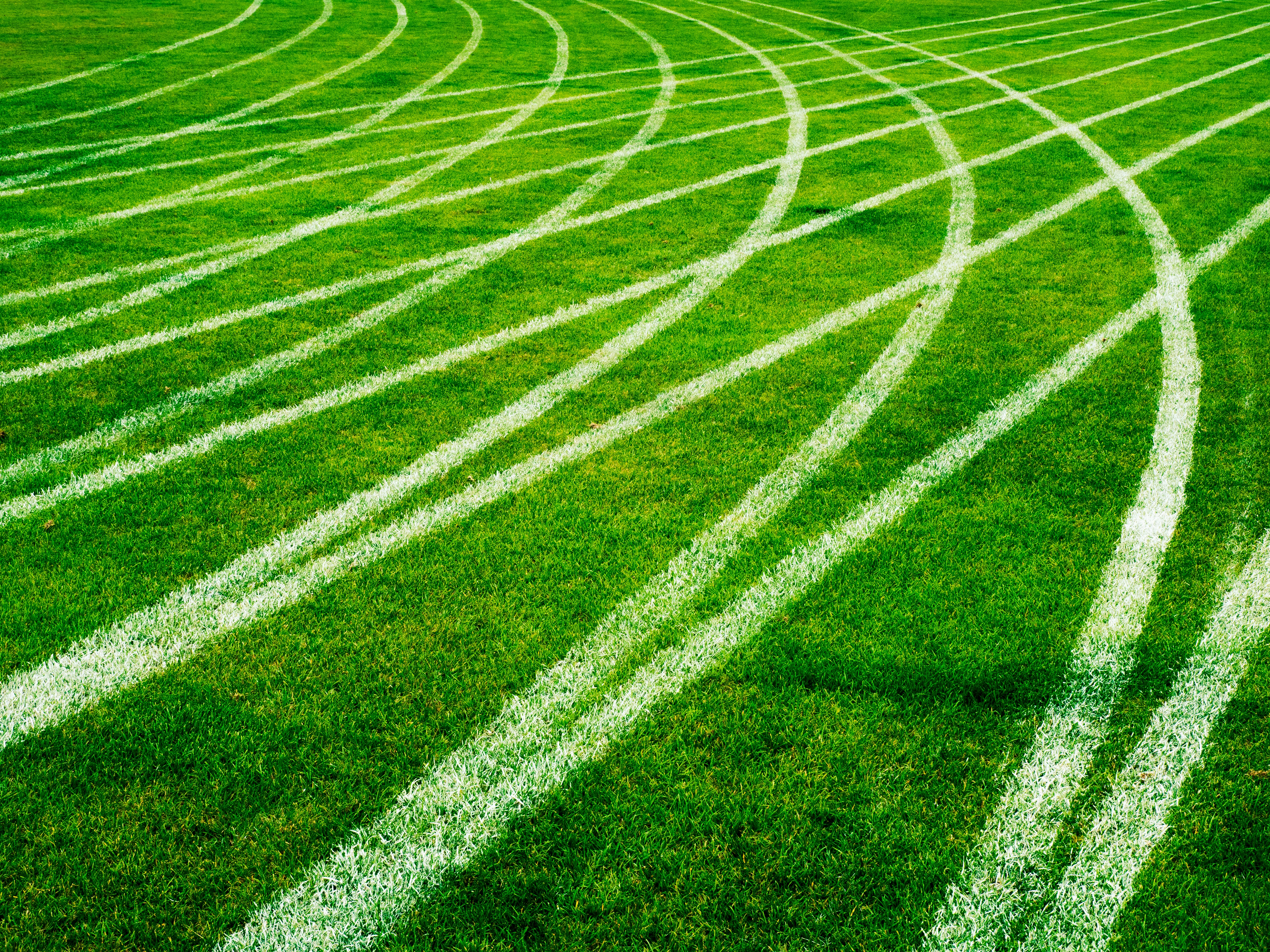 Photo by sschusterphotoart