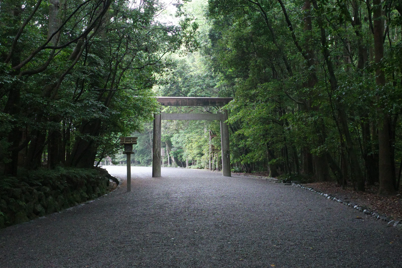 森の中の参道と鳥居