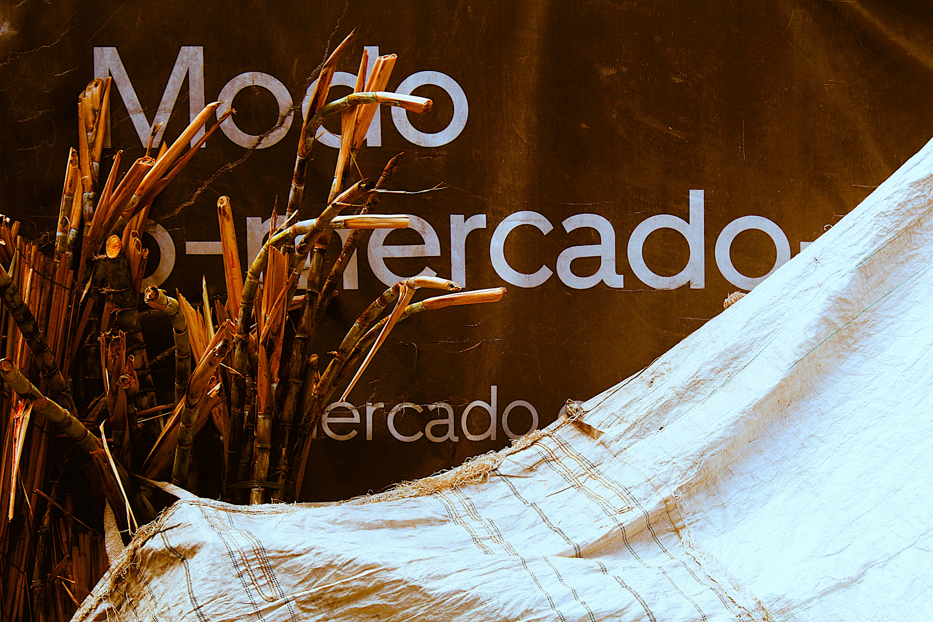 Bundle of dry reeds with text in background