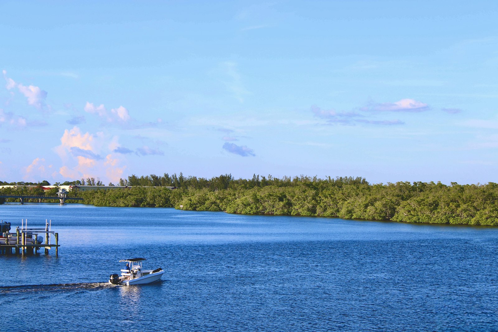 Boat travels on a wide blue river near mangroves.