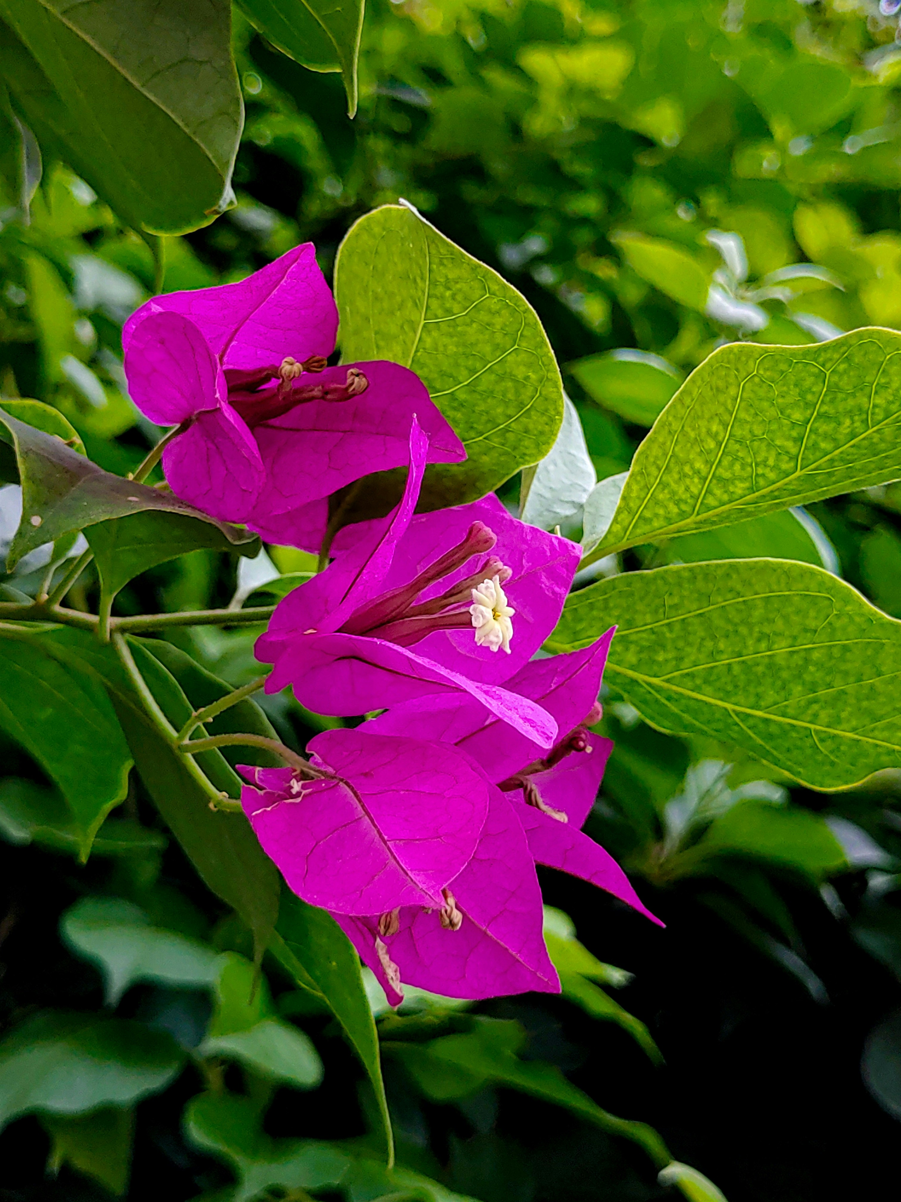 Photo by ebenezer_ebe