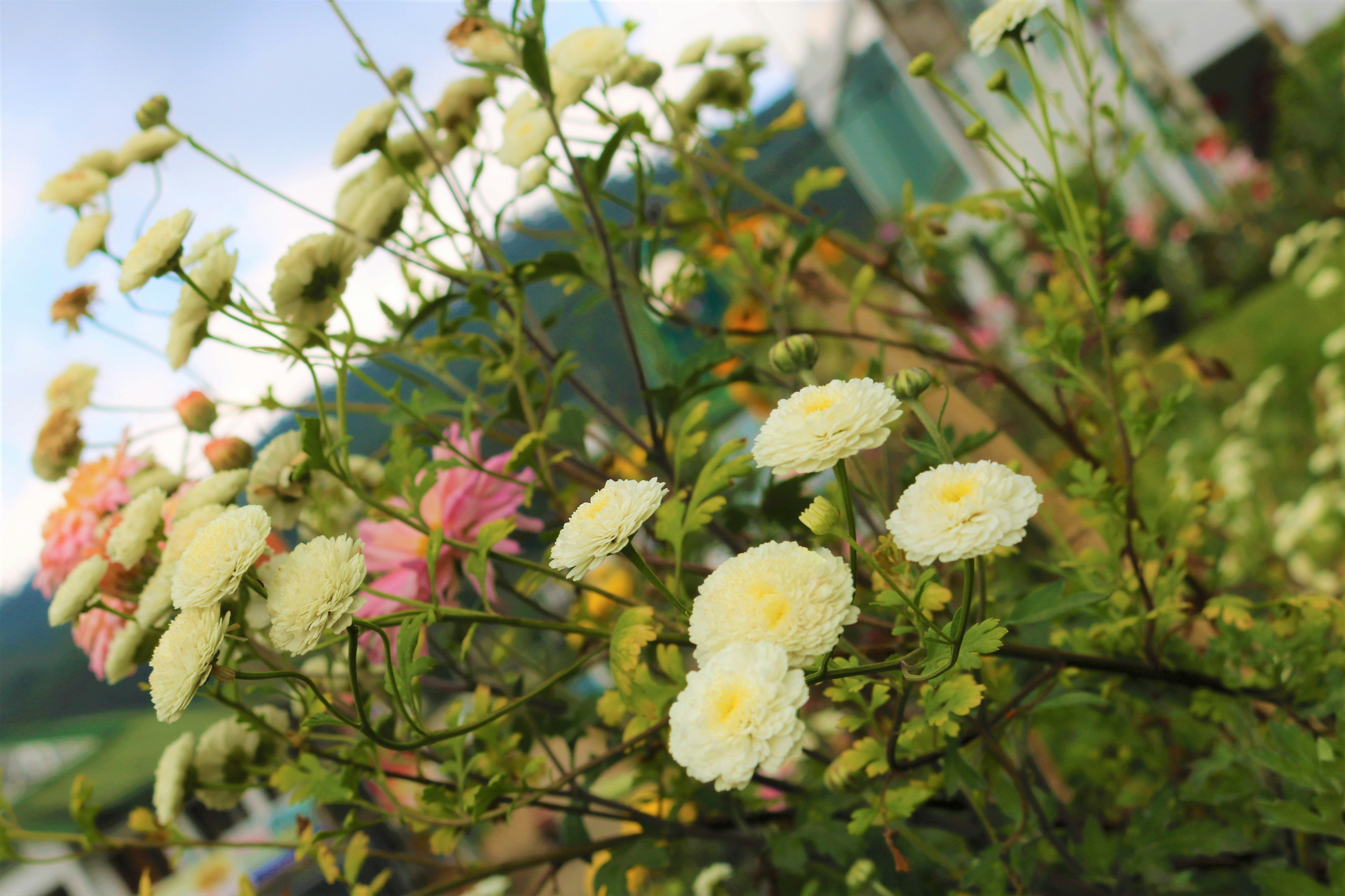 Photo by _r_a_m_i_x_x_