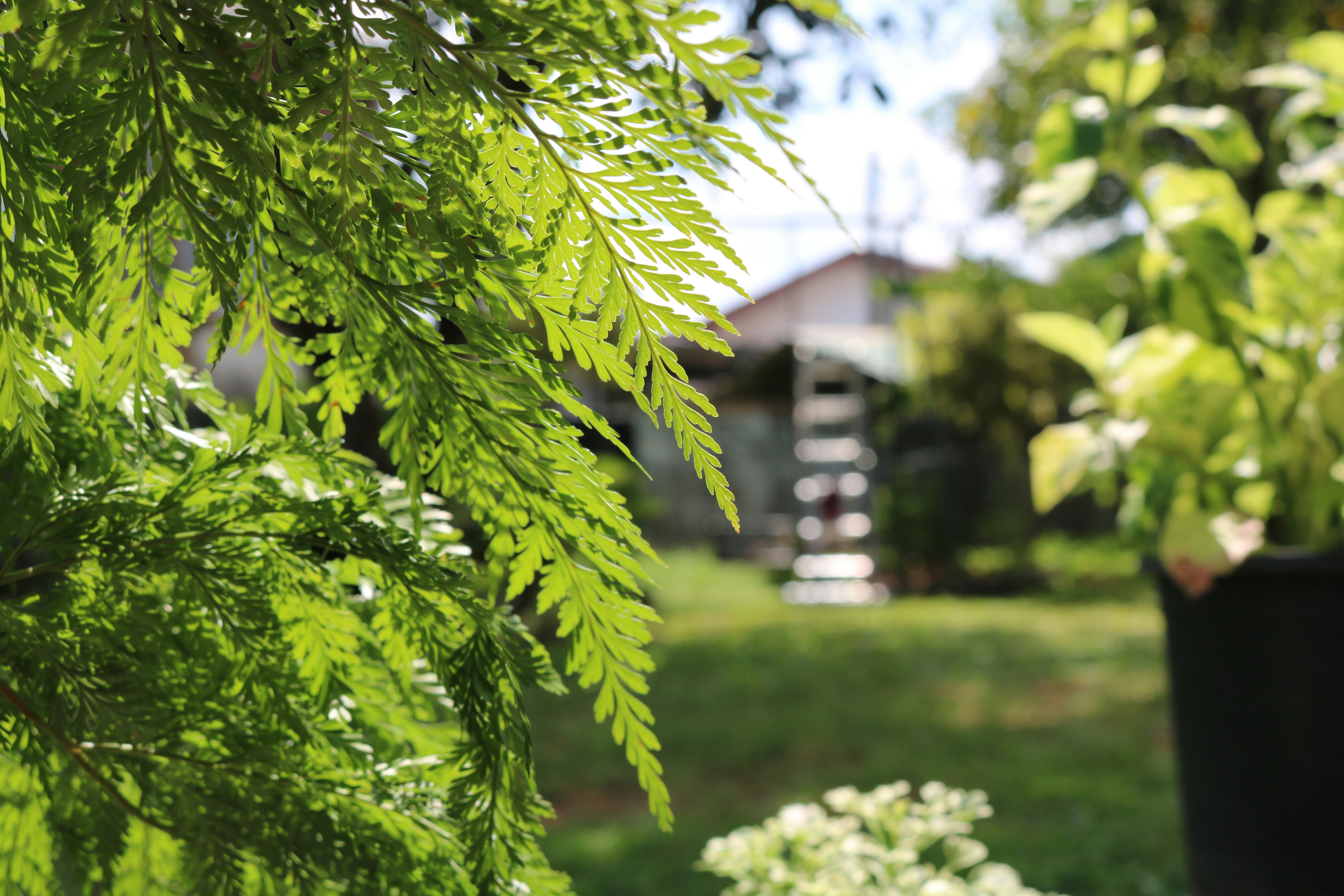 Photo by _r_a_m_i_x_x_