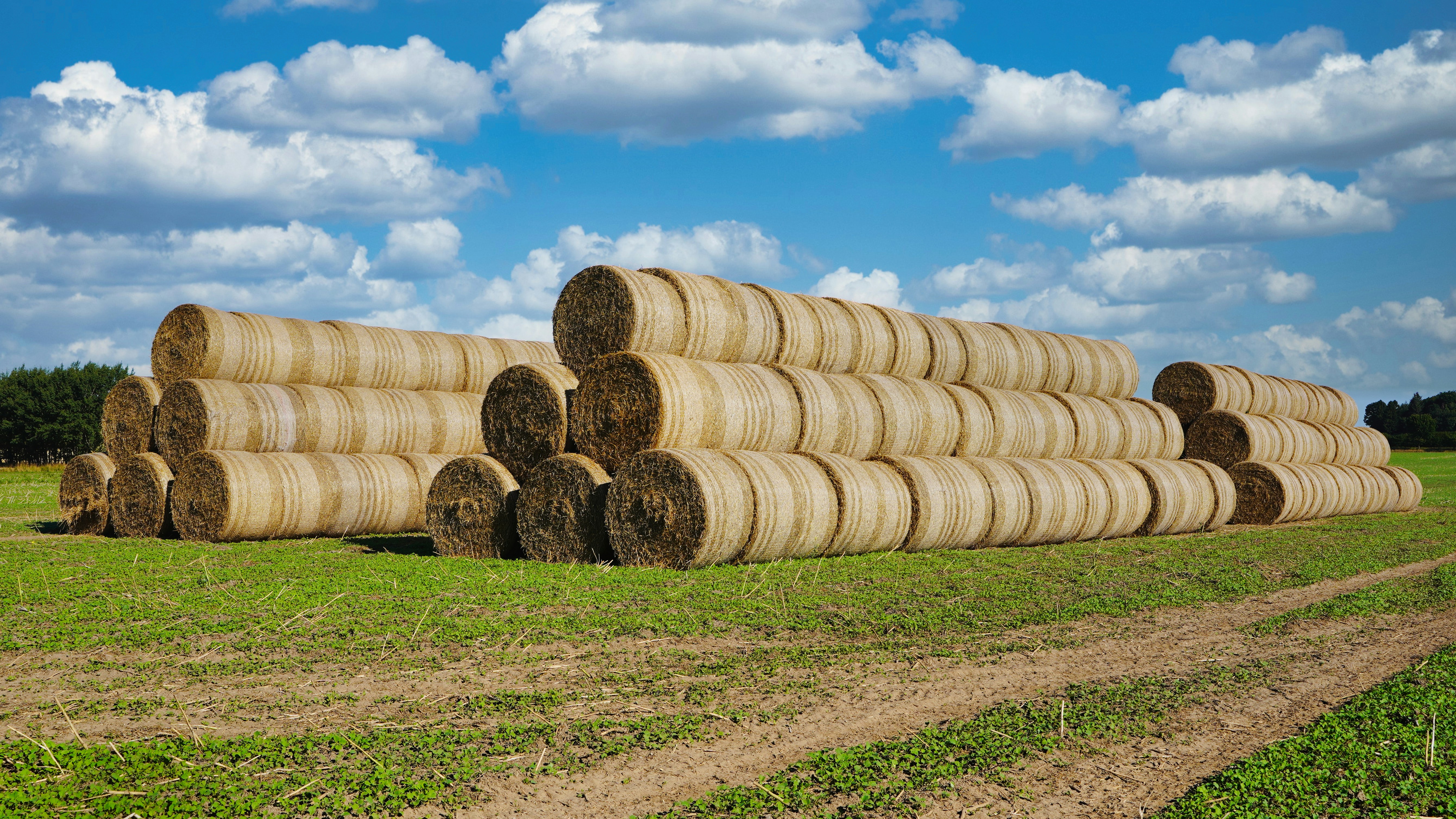 Photo by hamburgmeinefreundin