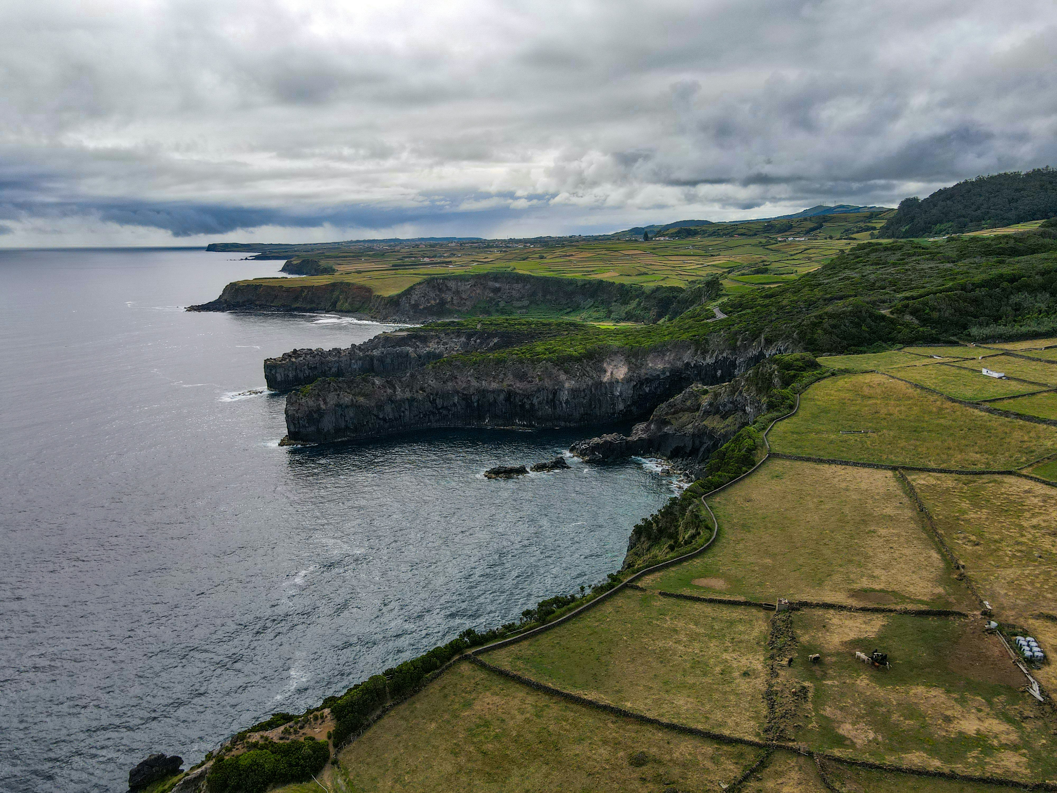 Photo by francesco_ungaro