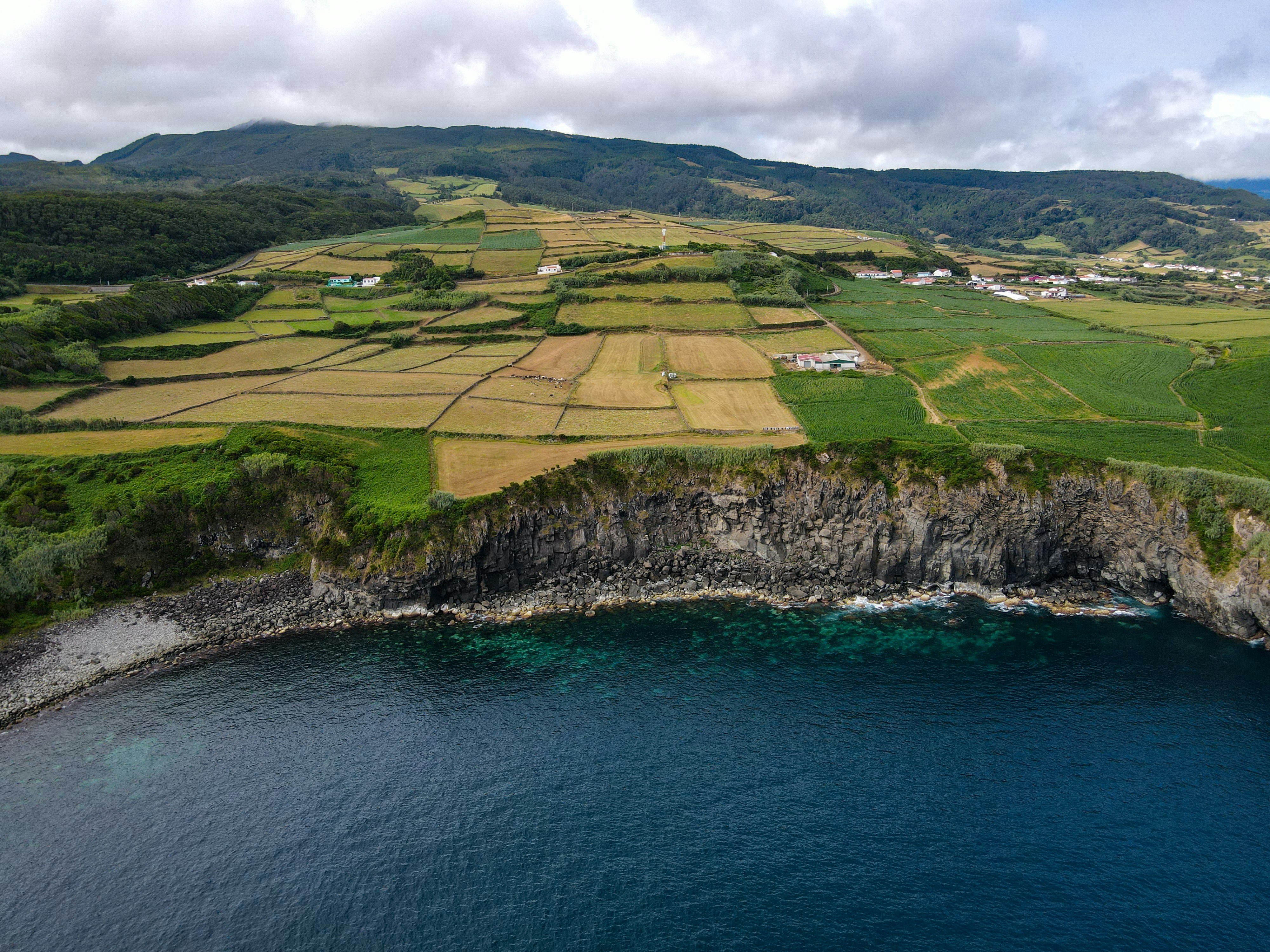 Photo by francesco_ungaro