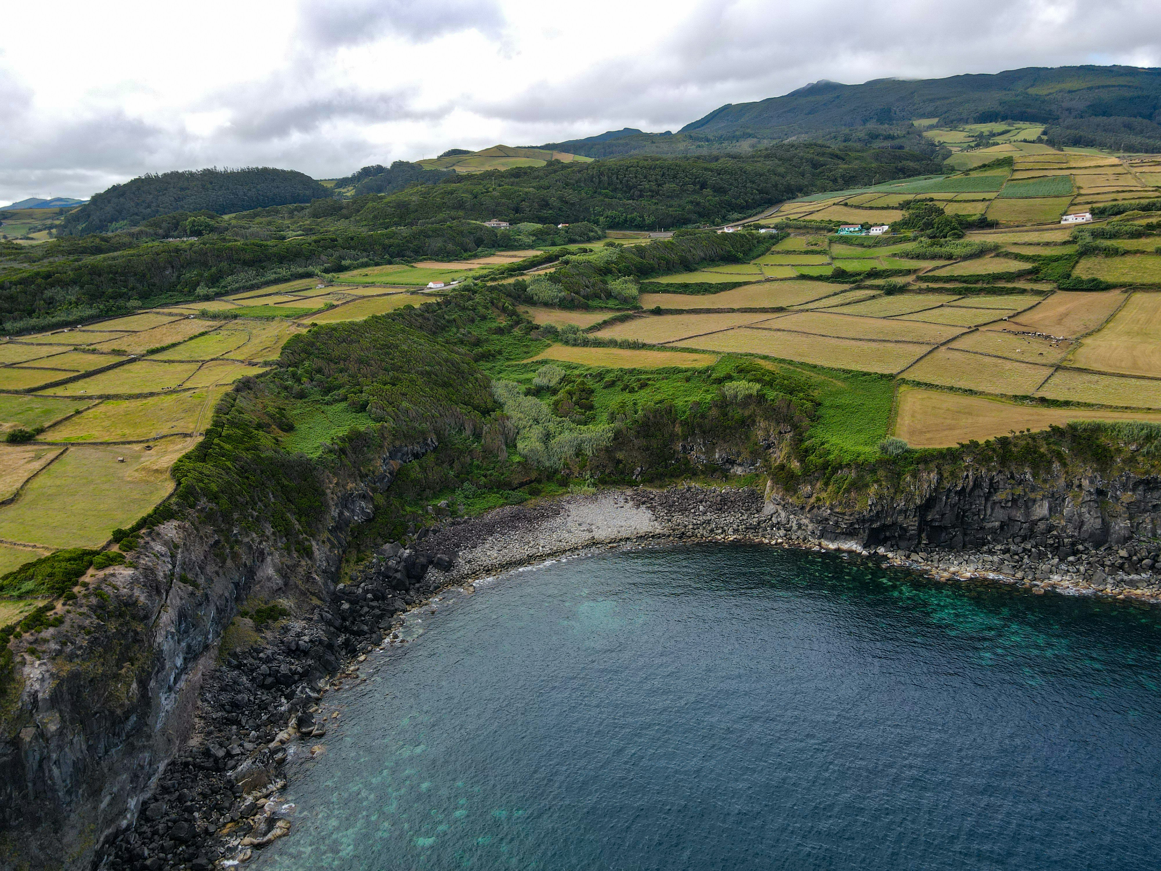 Photo by francesco_ungaro