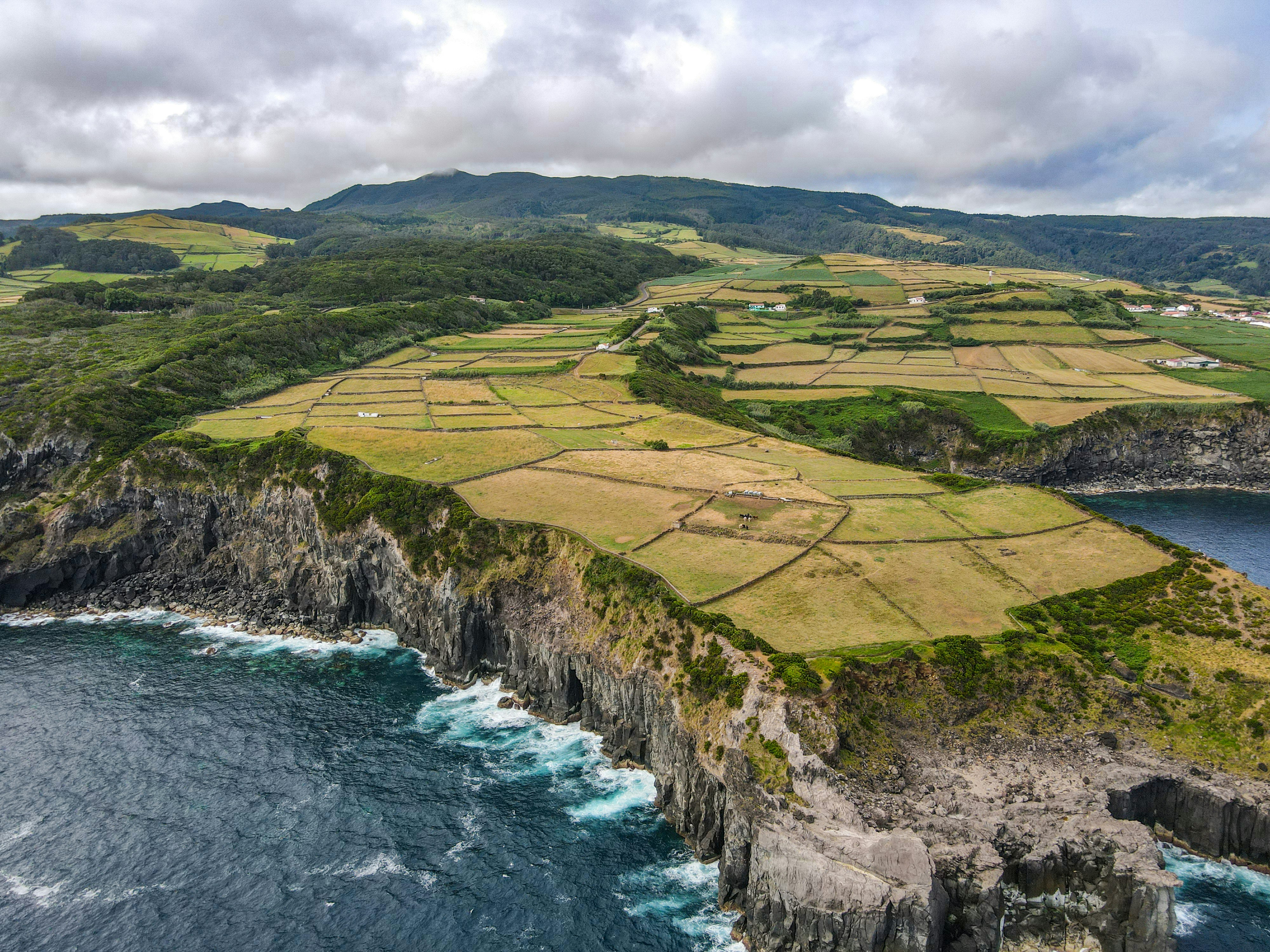 Photo by francesco_ungaro