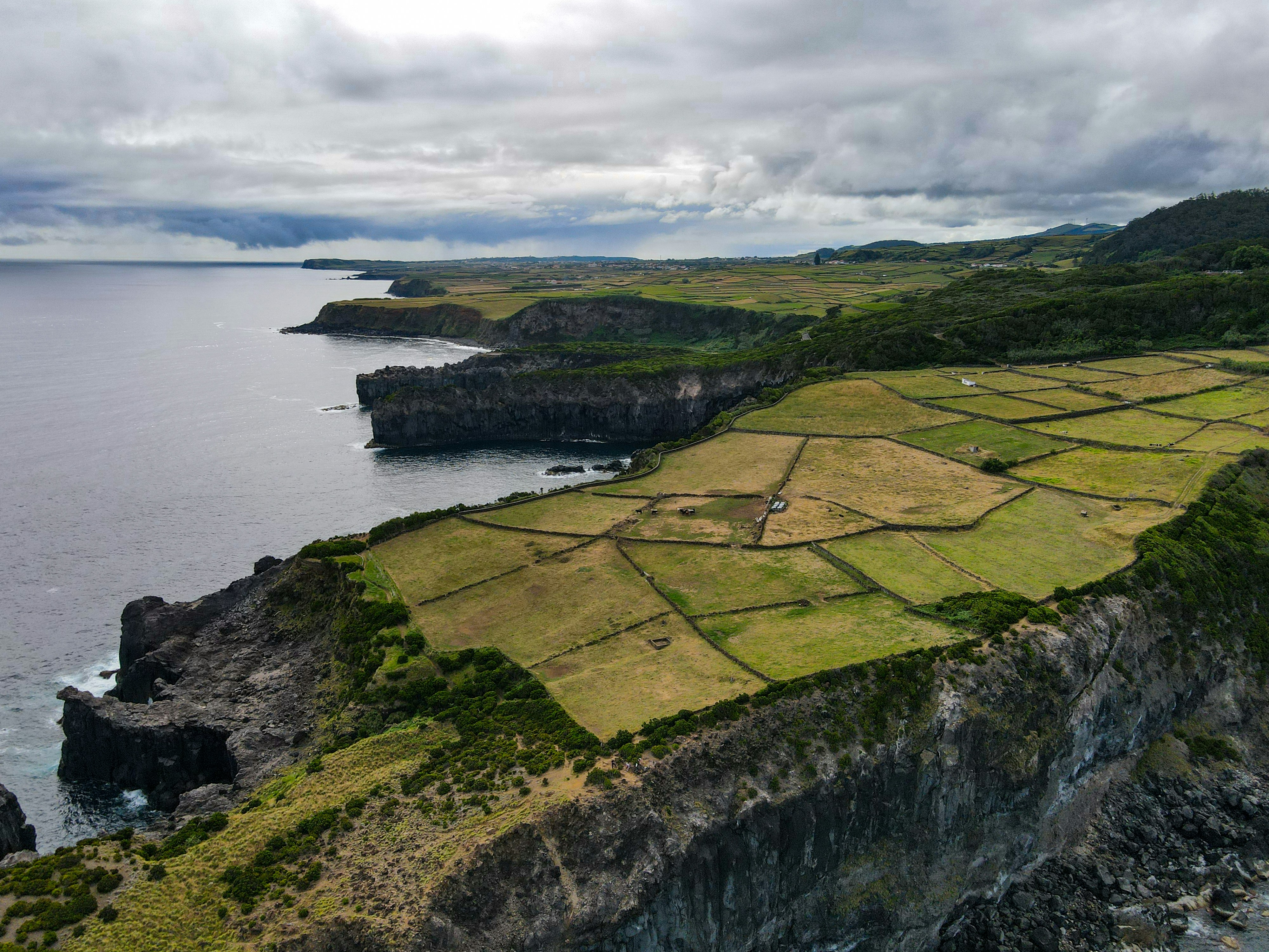 Photo by francesco_ungaro