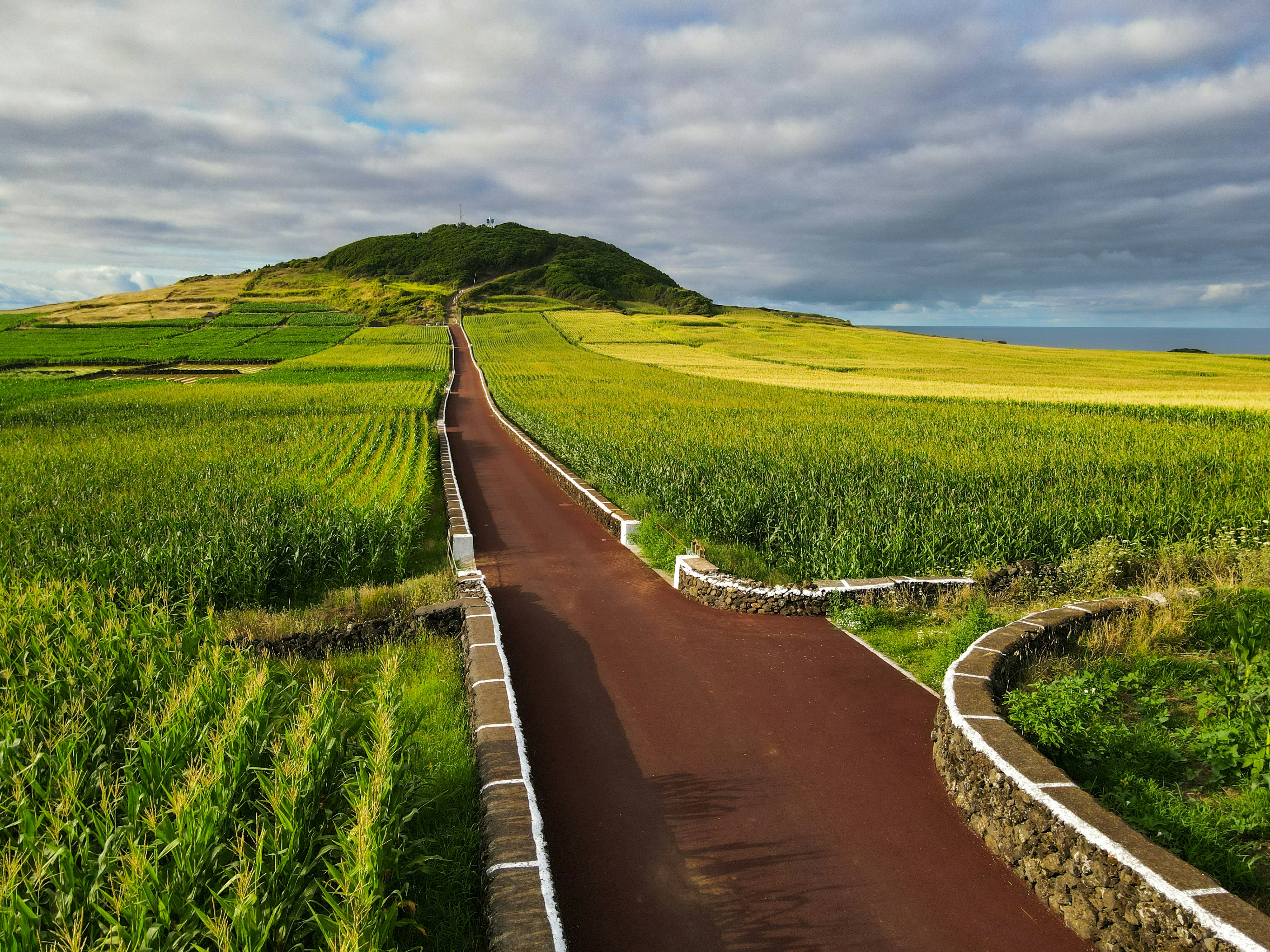 Red road through green fields toward a hill