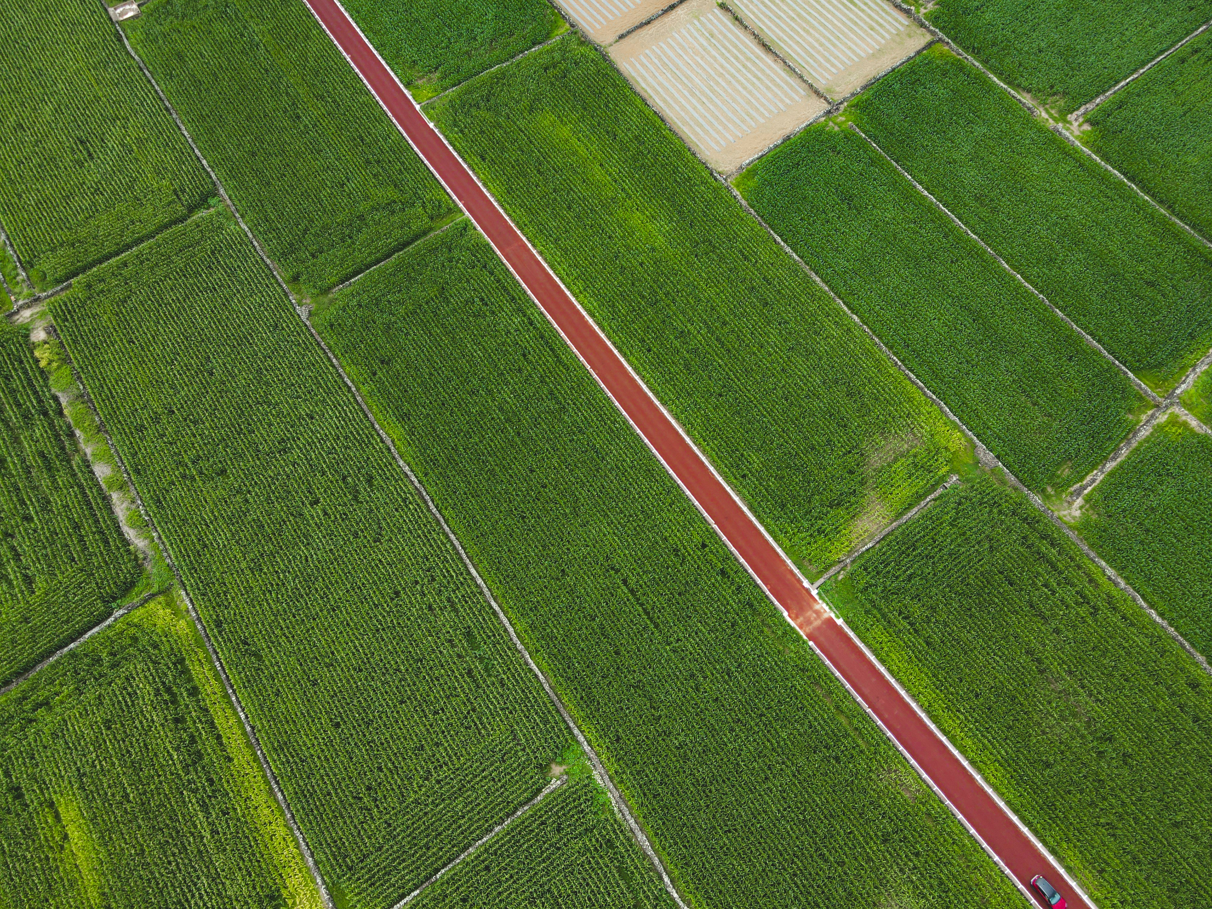 Photo by francesco_ungaro