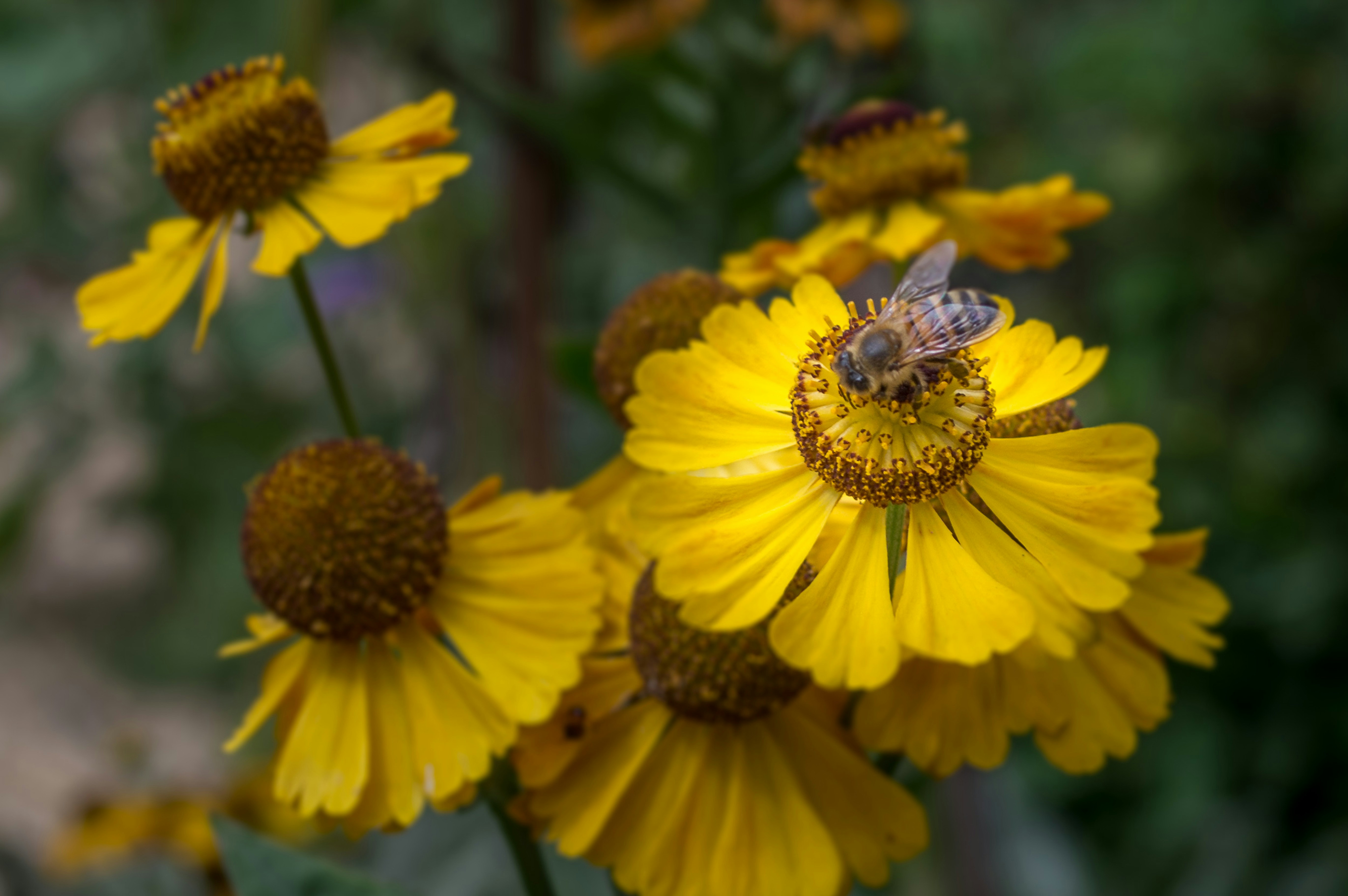 Photo by aaronmridhaphotography