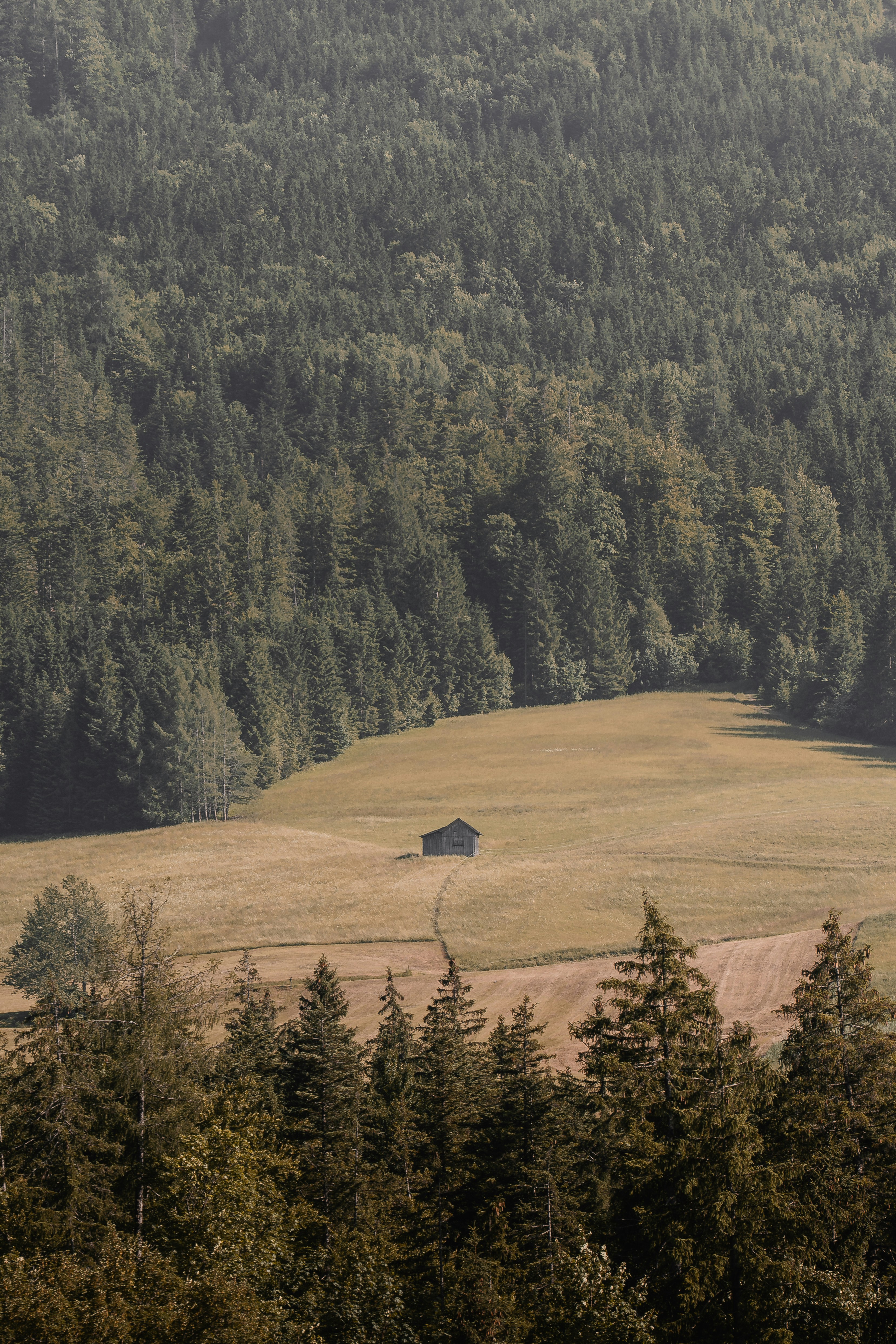 Photo by ahmetyuksek