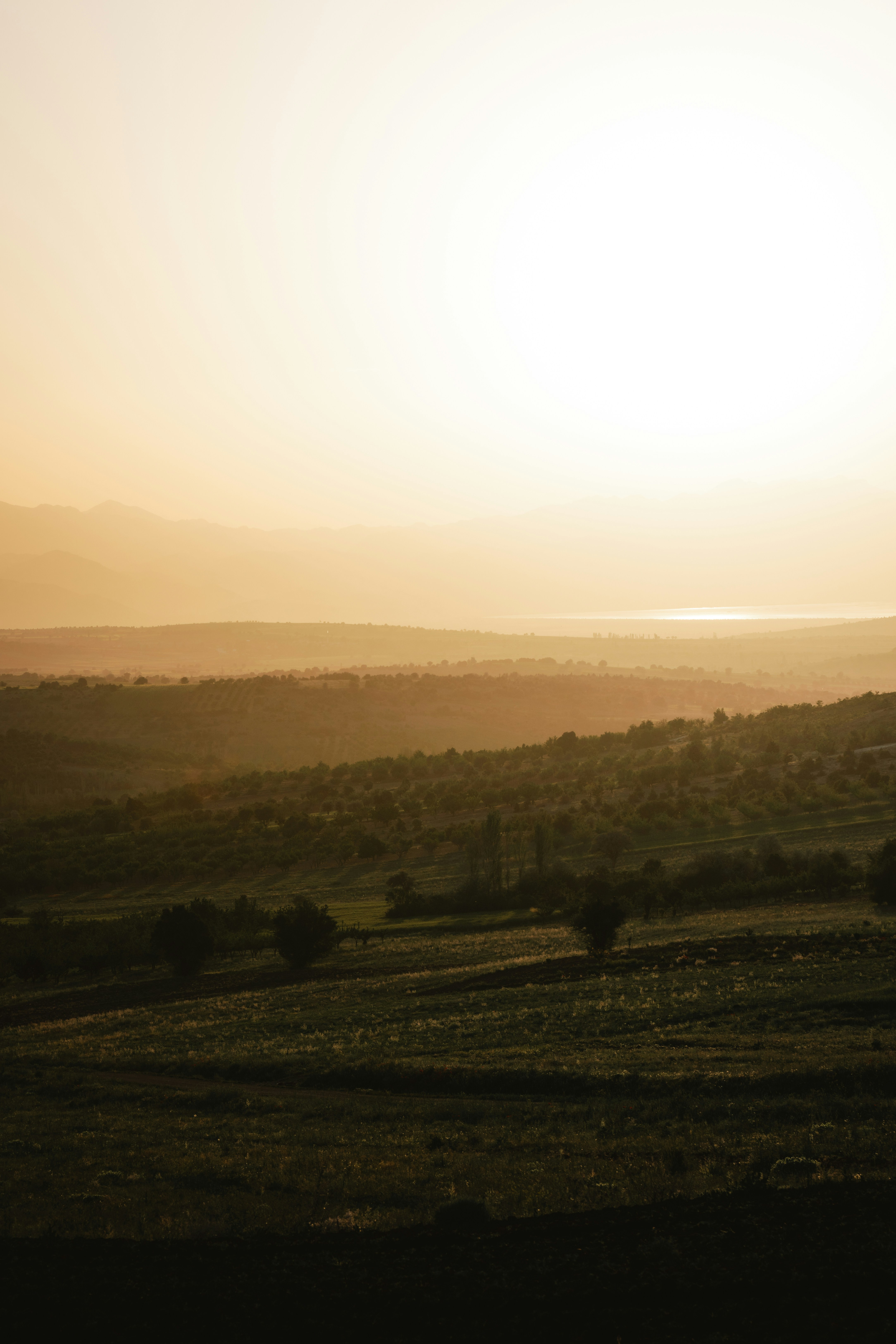 Photo by ahmetyuksek