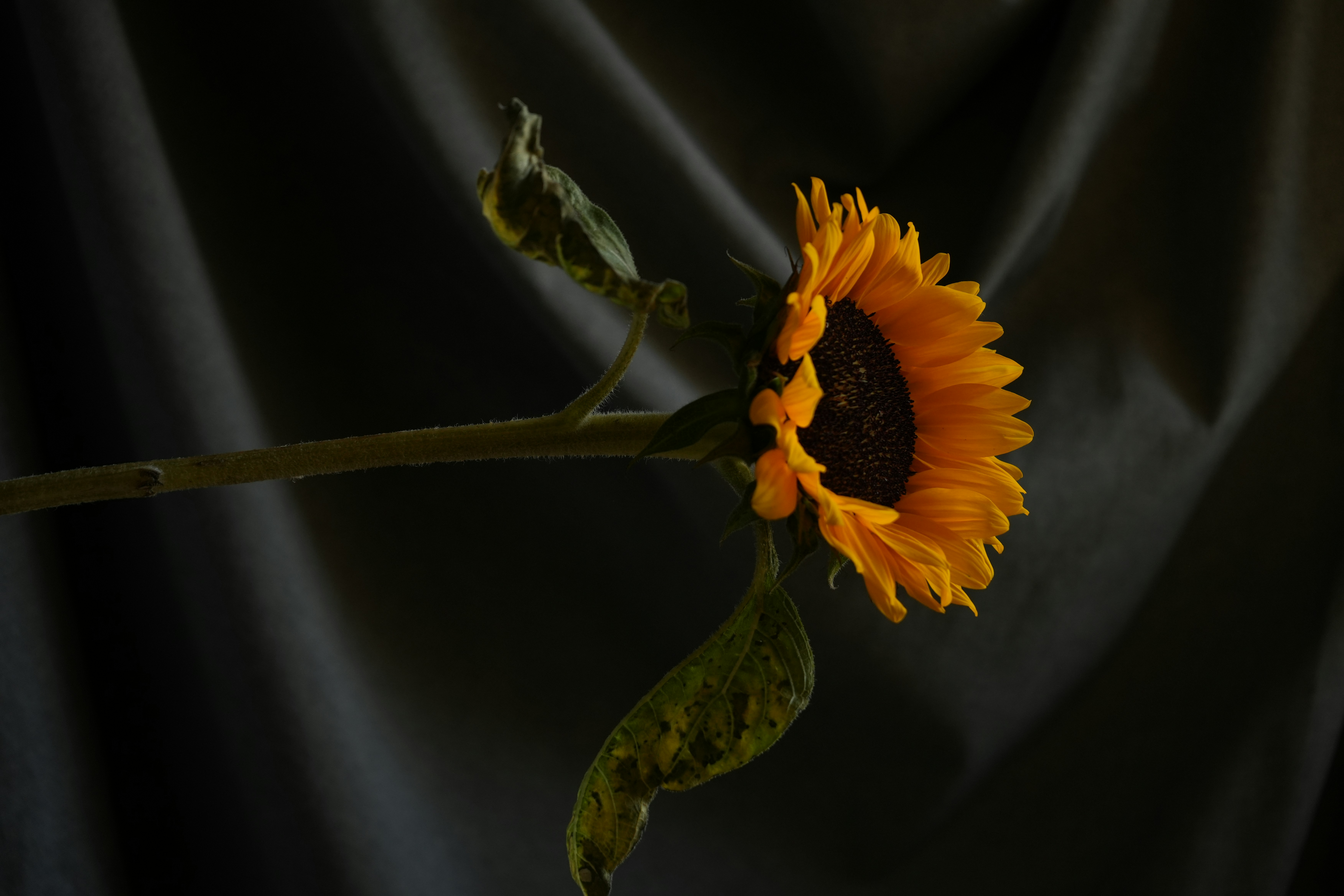 Photo by mari_drakkar