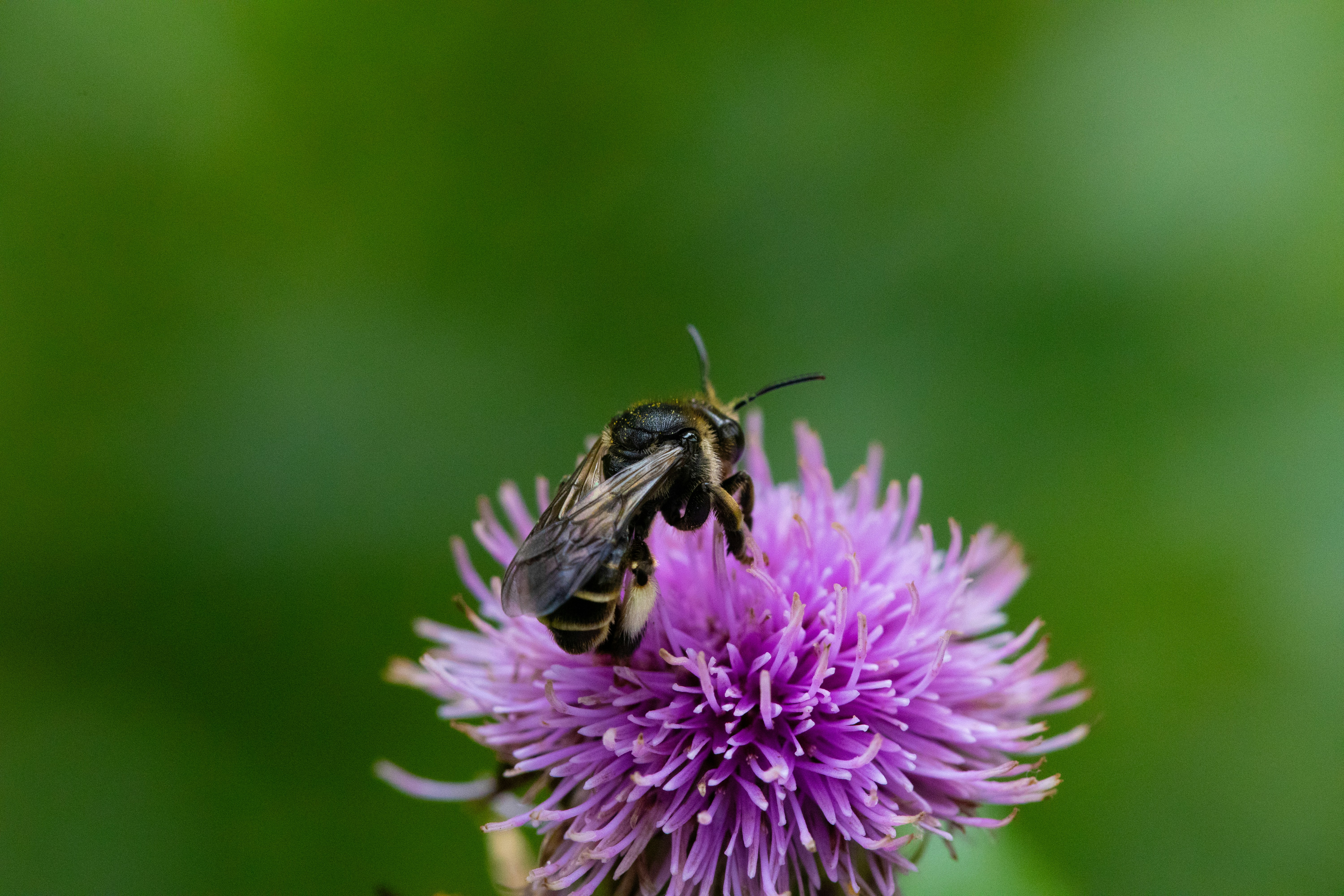 Photo by mariiastepanova1985