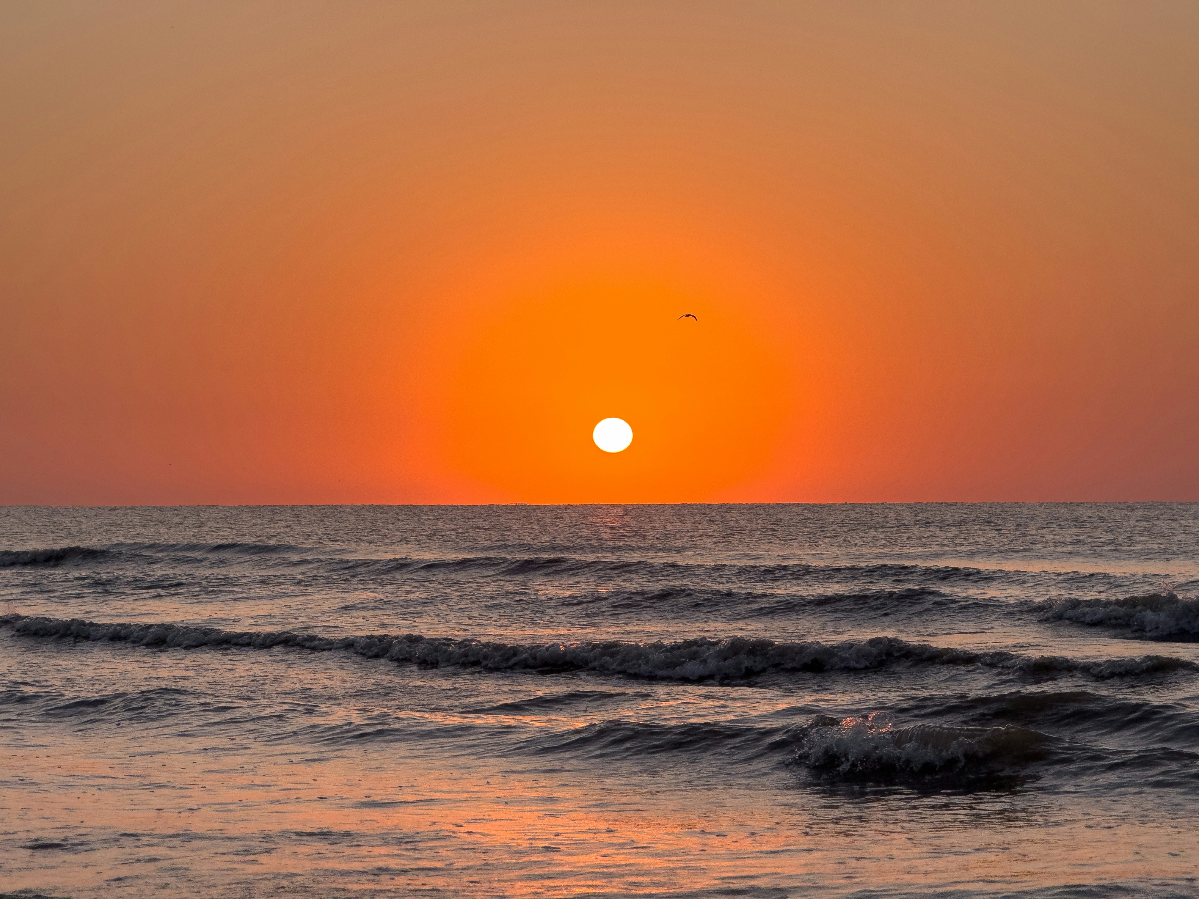 Photo by storm_trouble