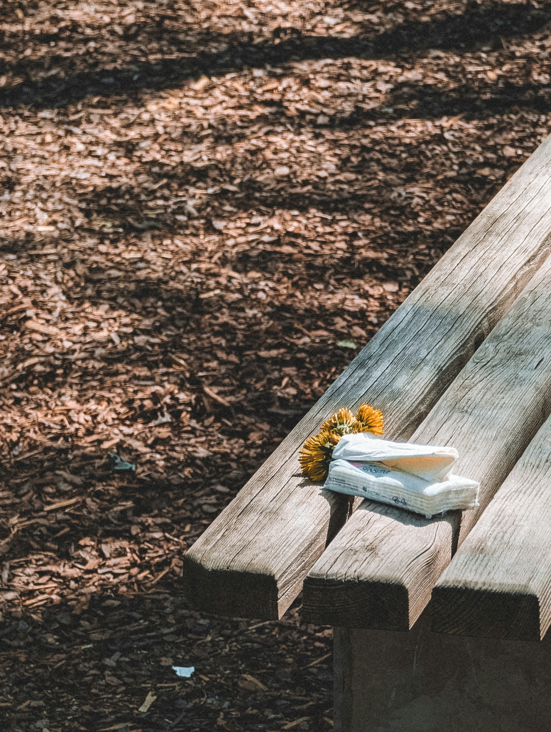 Photo by alexeykuleshov