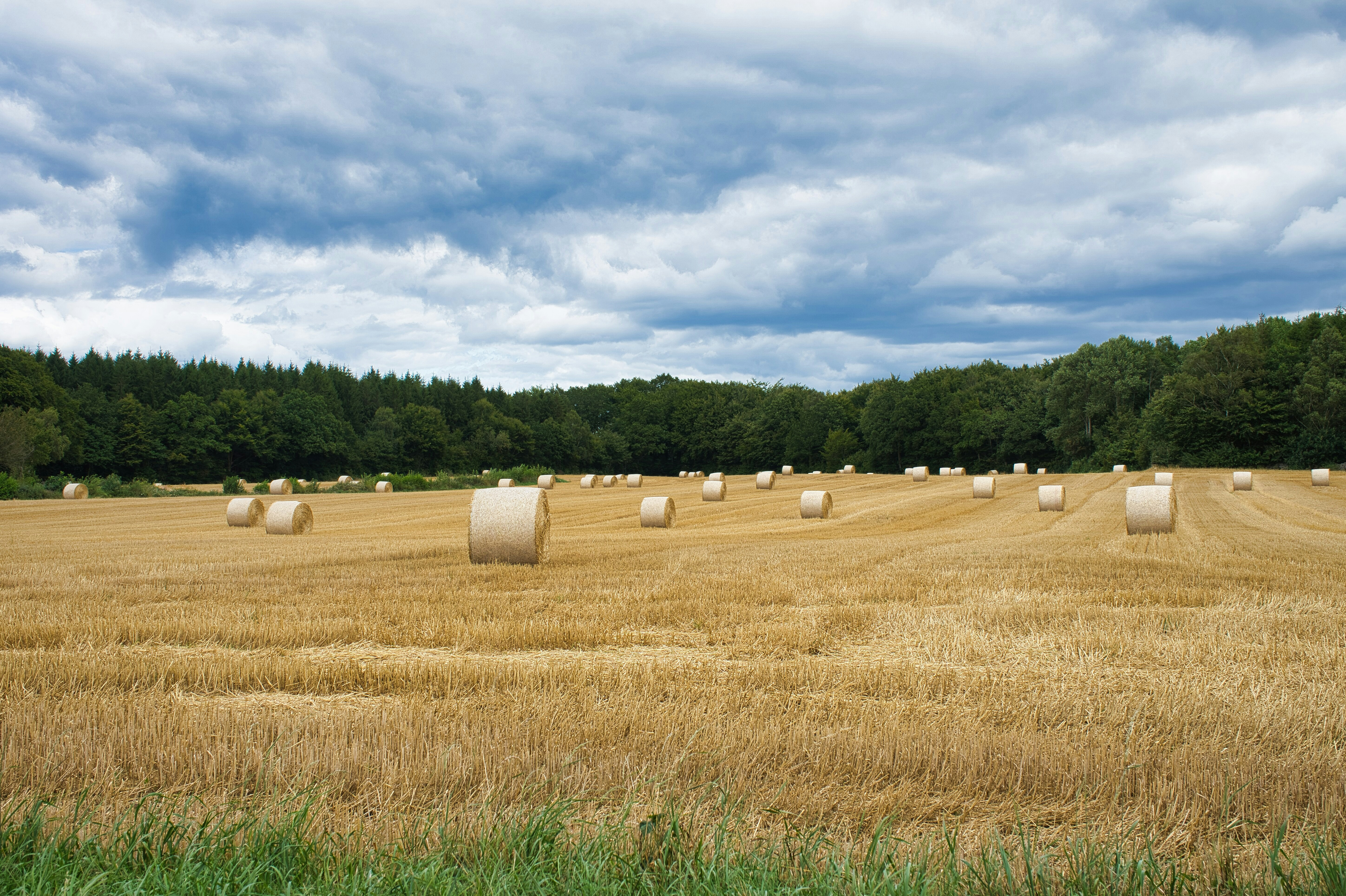 Photo by rasmusandersen