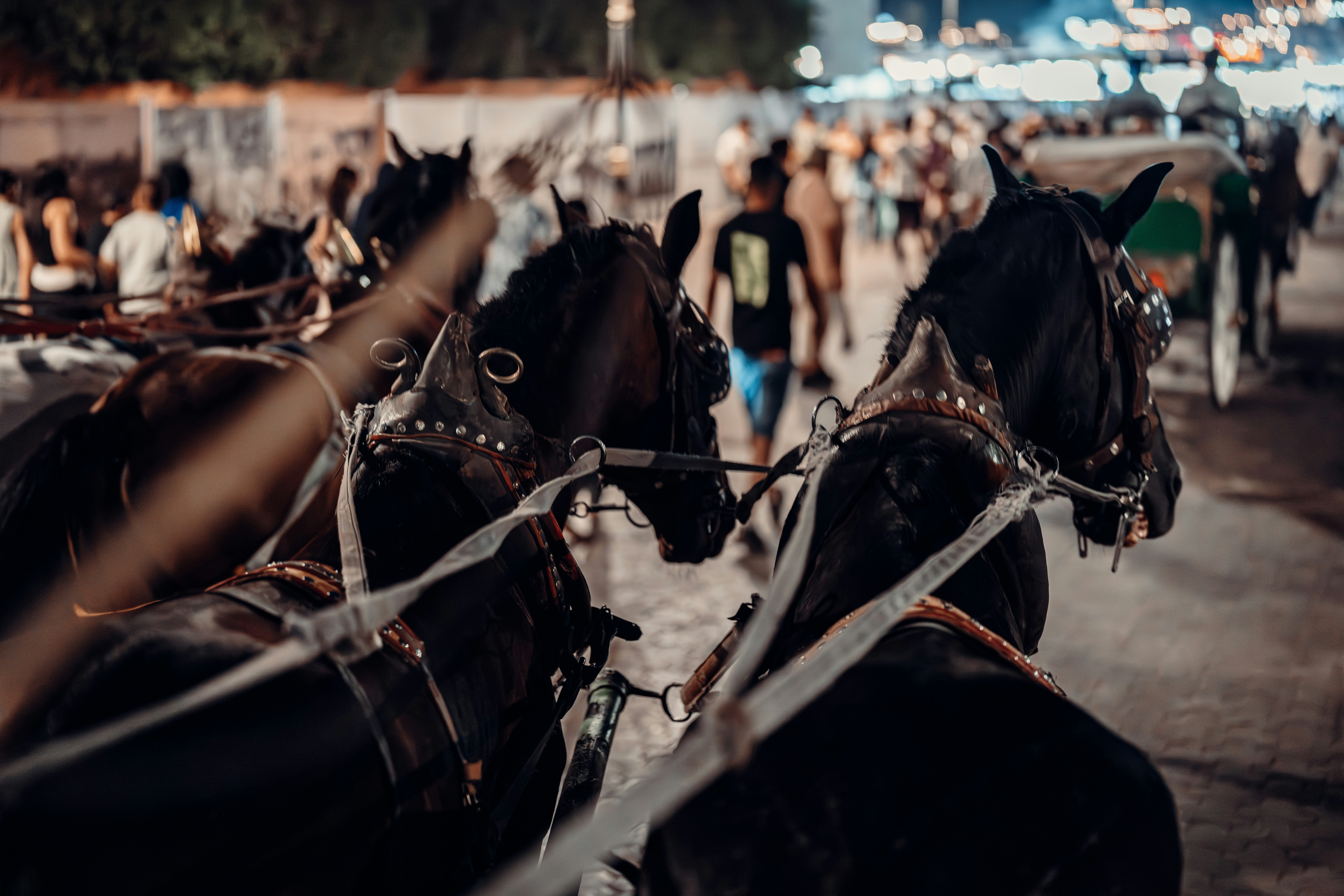 Image de Les nouveaux visages électro qui enflammeront le Touquet Music Beach Festival 2026