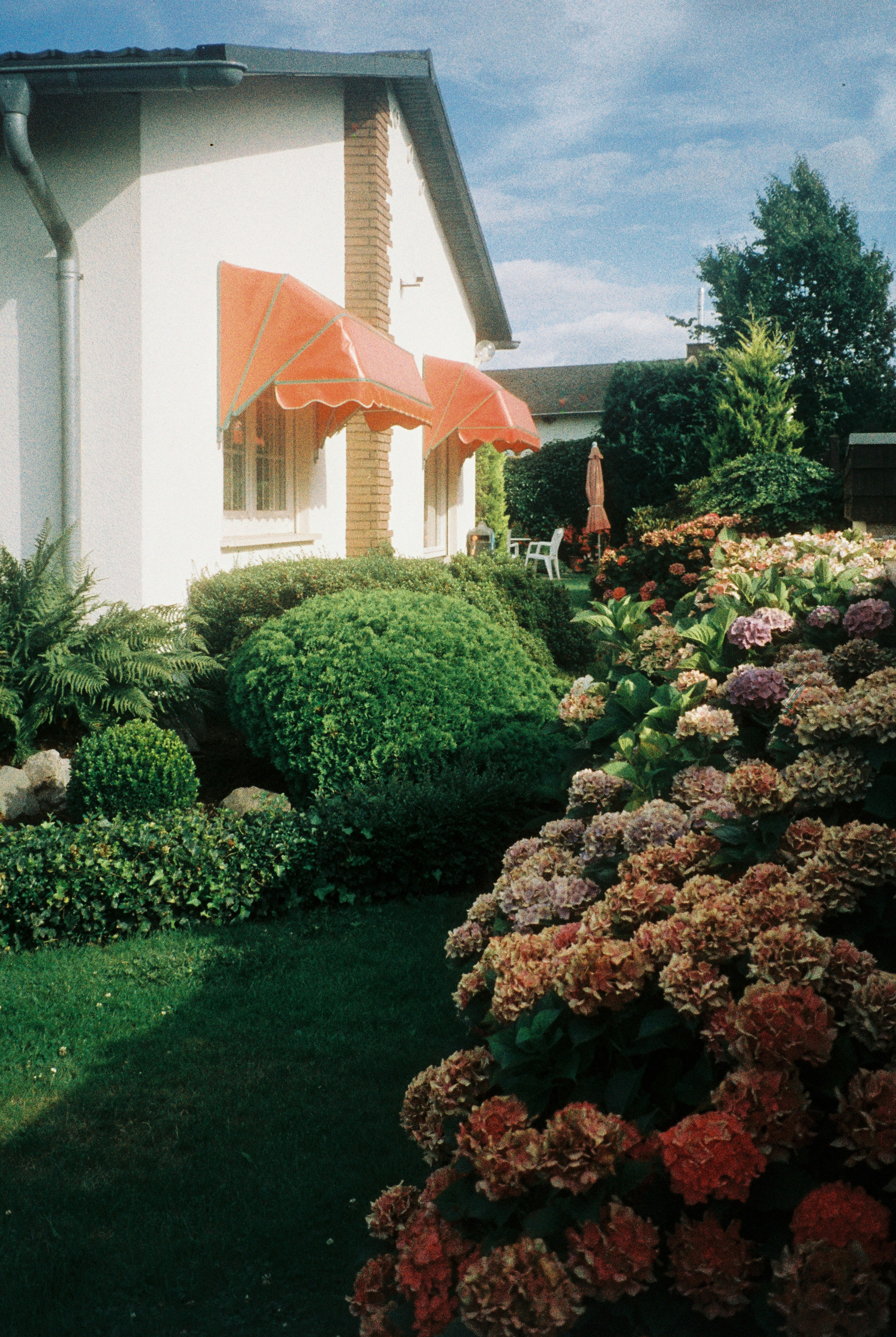 Photo by hypernature