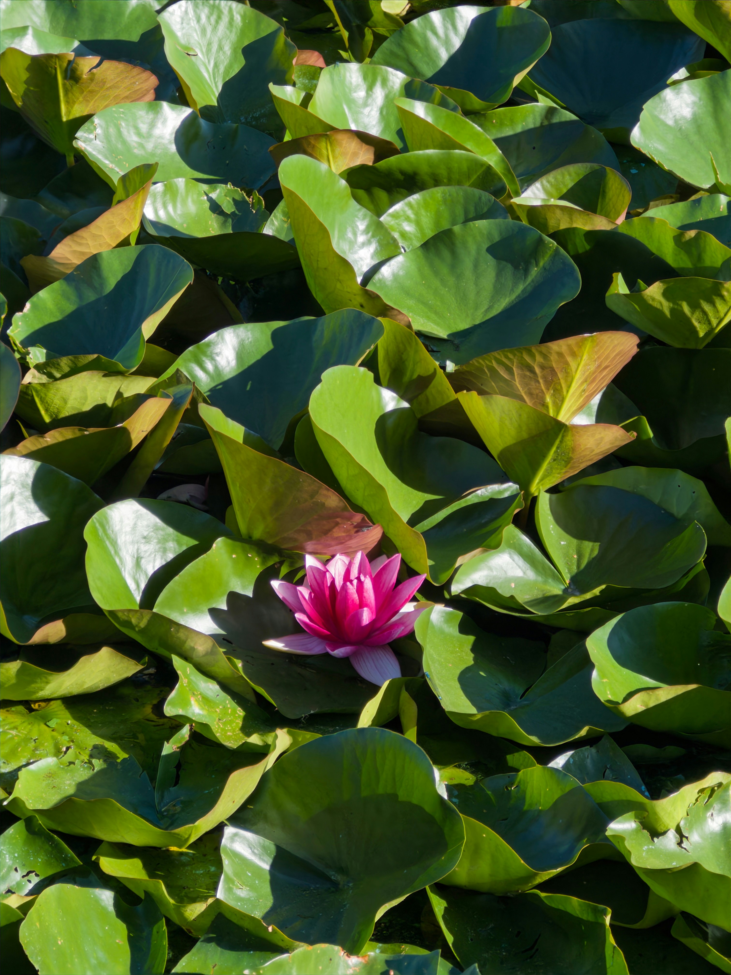 Photo by goldfinch1009