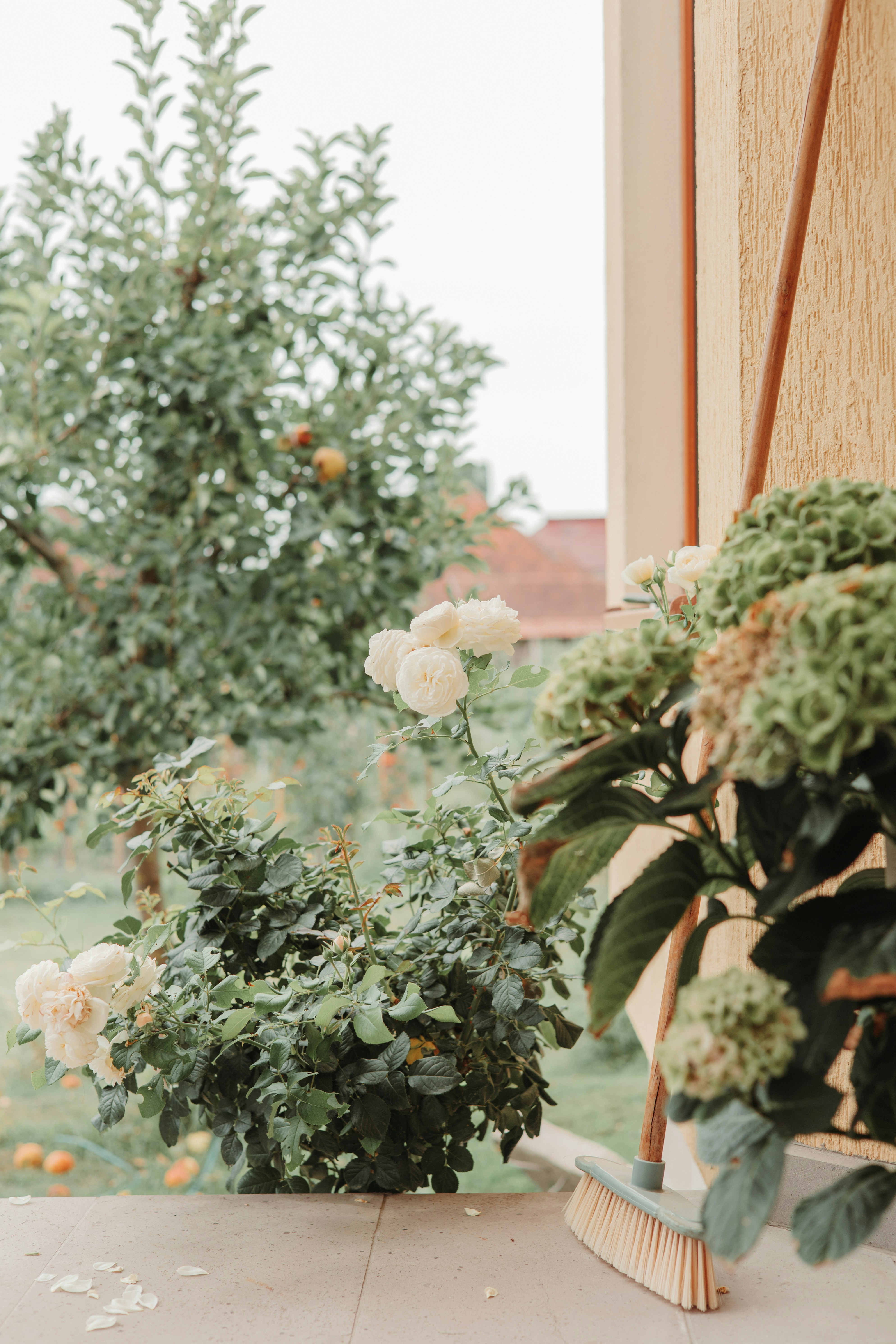 White roses and hydrangeas with a broom.