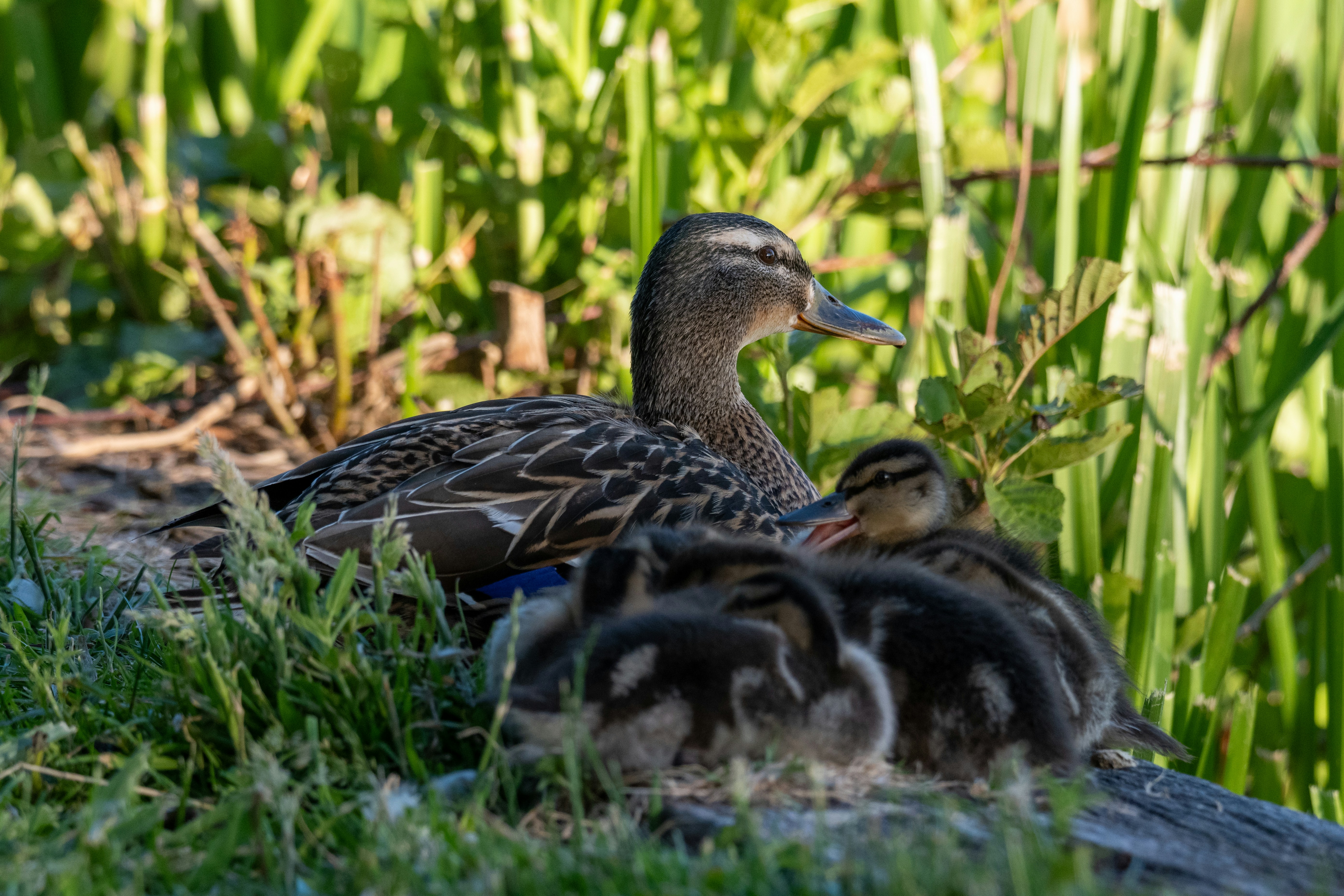 Photo by oj_wildframe