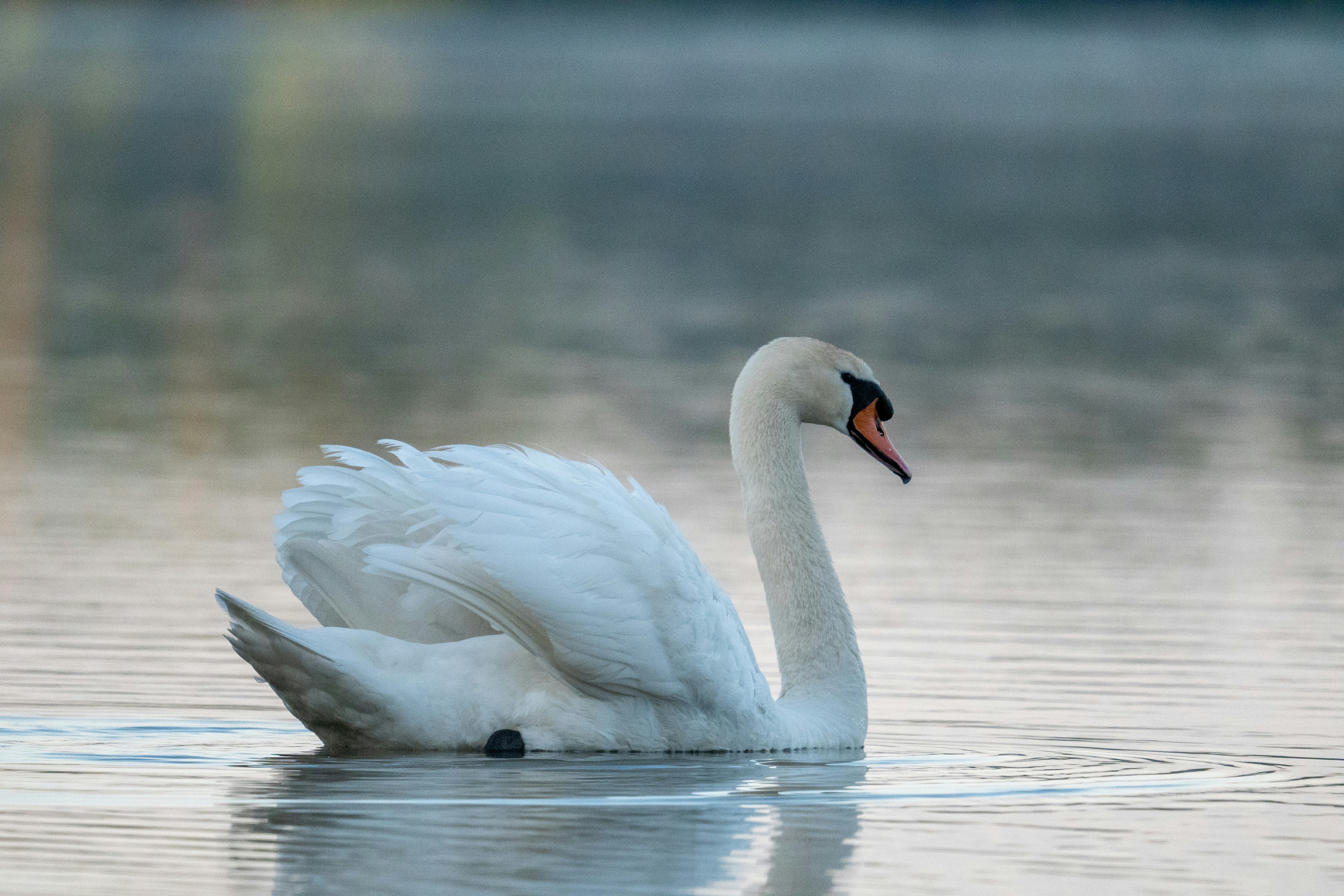 Photo by oj_wildframe