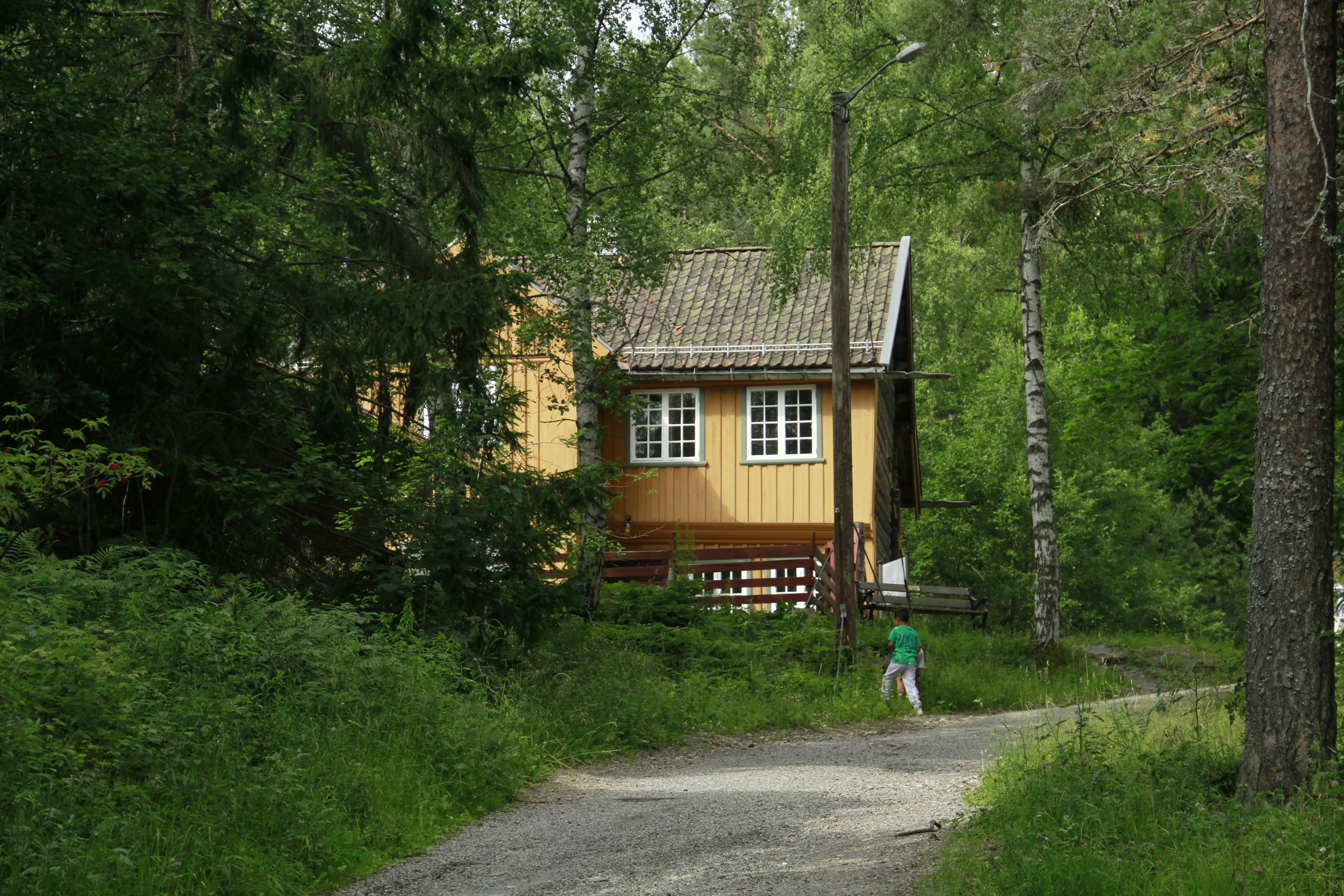 Cozy cabin exterior at dusk