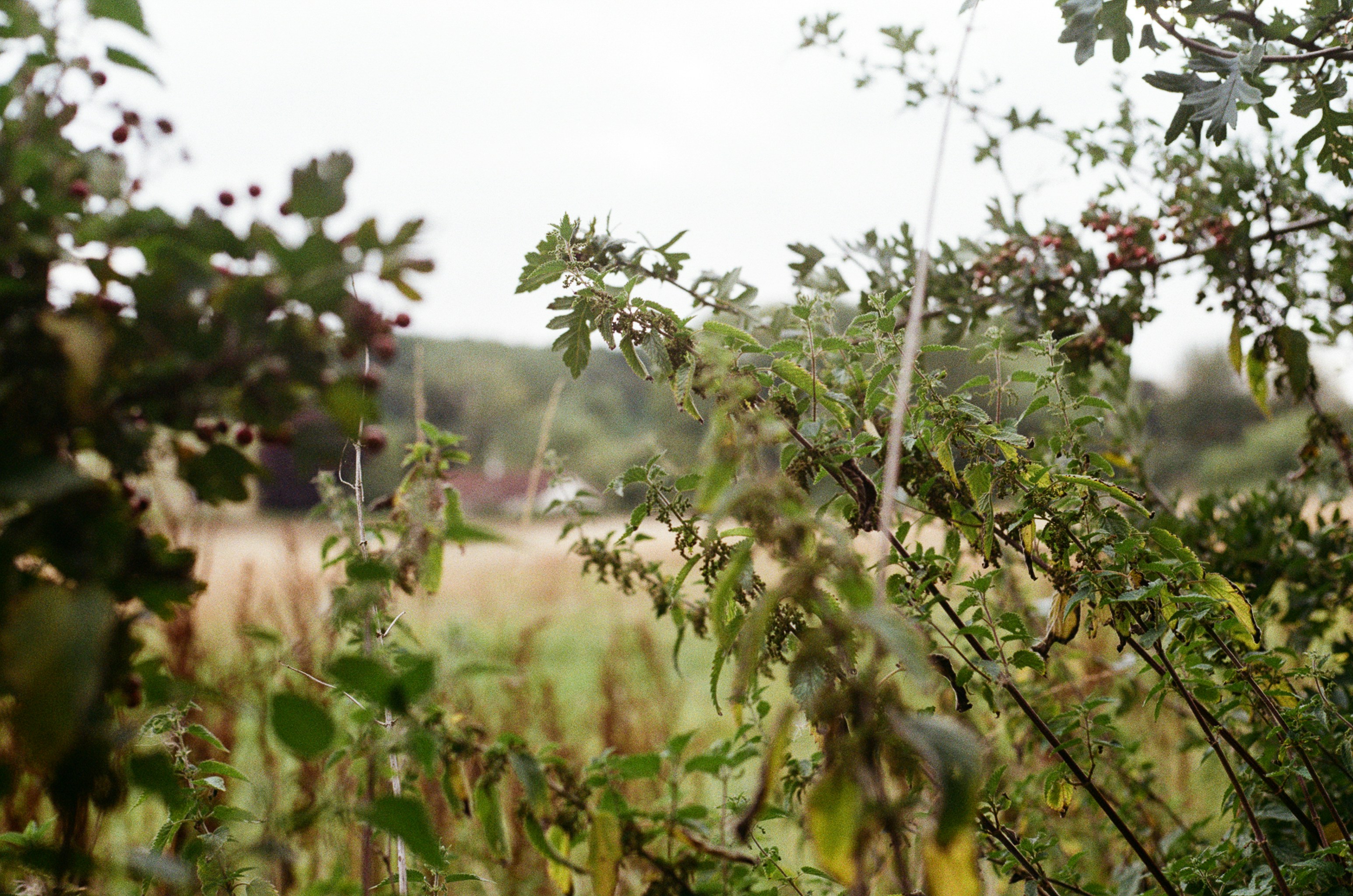 Photo by tanyabarrow