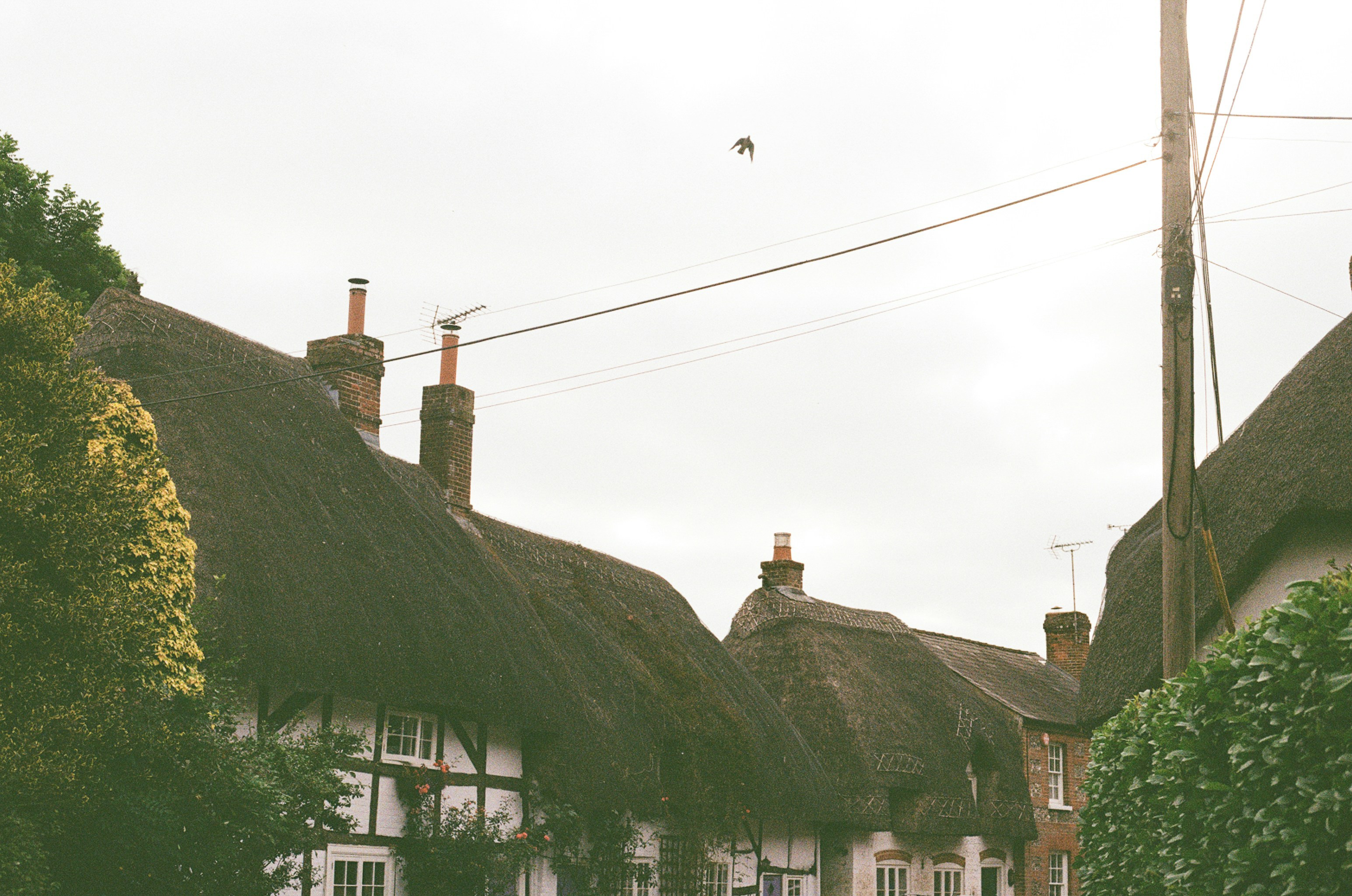 Photo by tanyabarrow