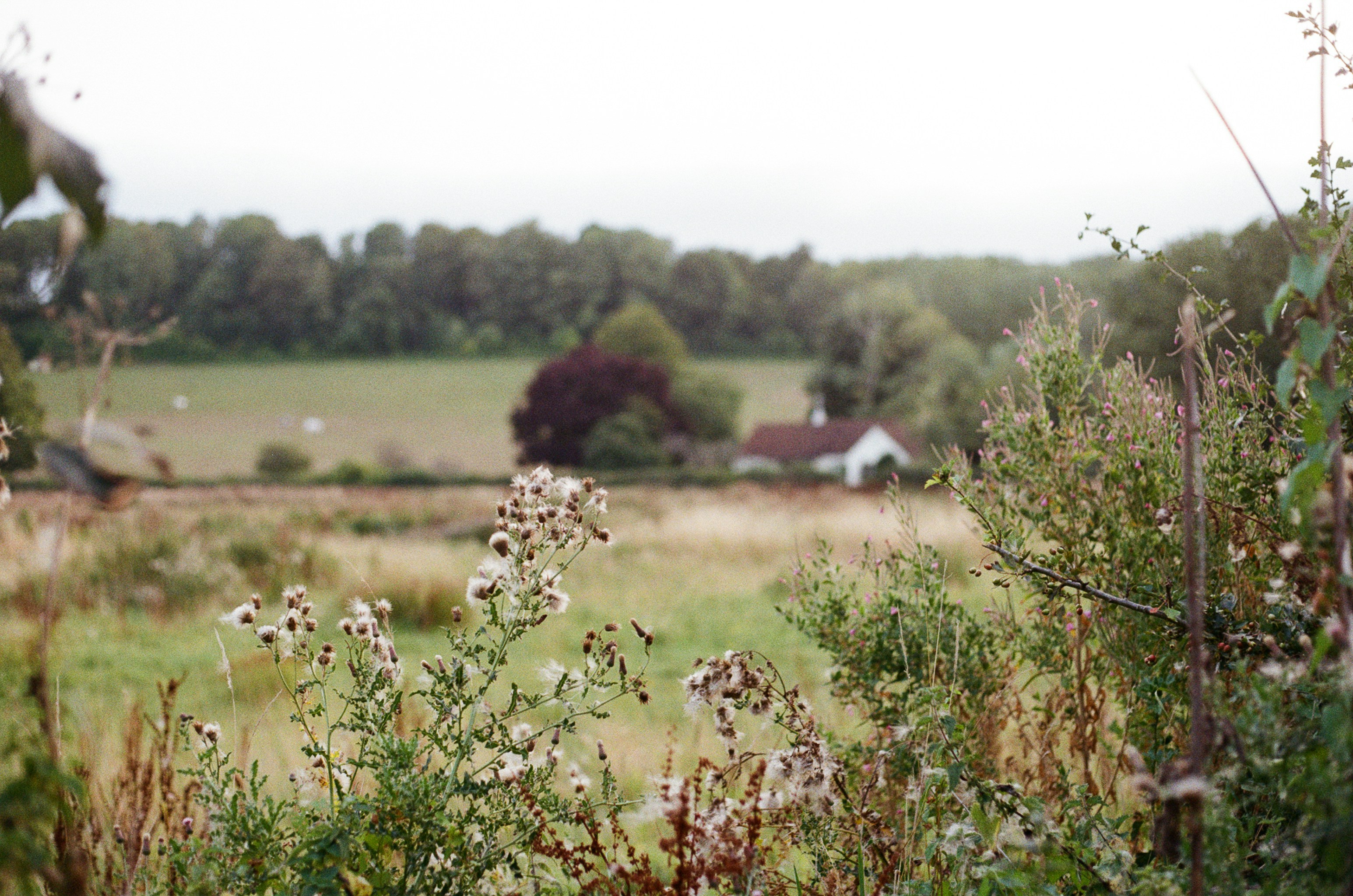 Photo by tanyabarrow