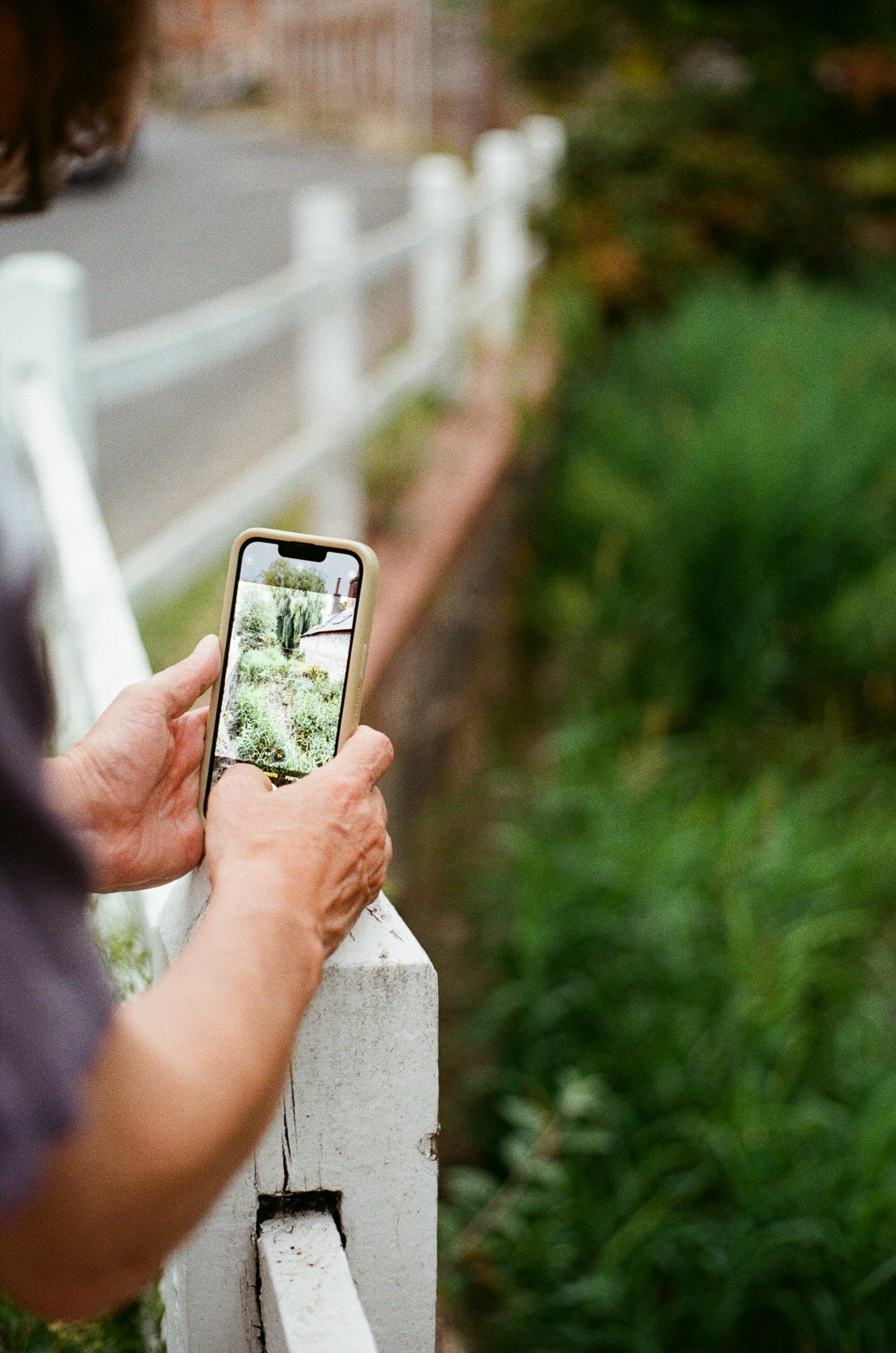 Photo by tanyabarrow