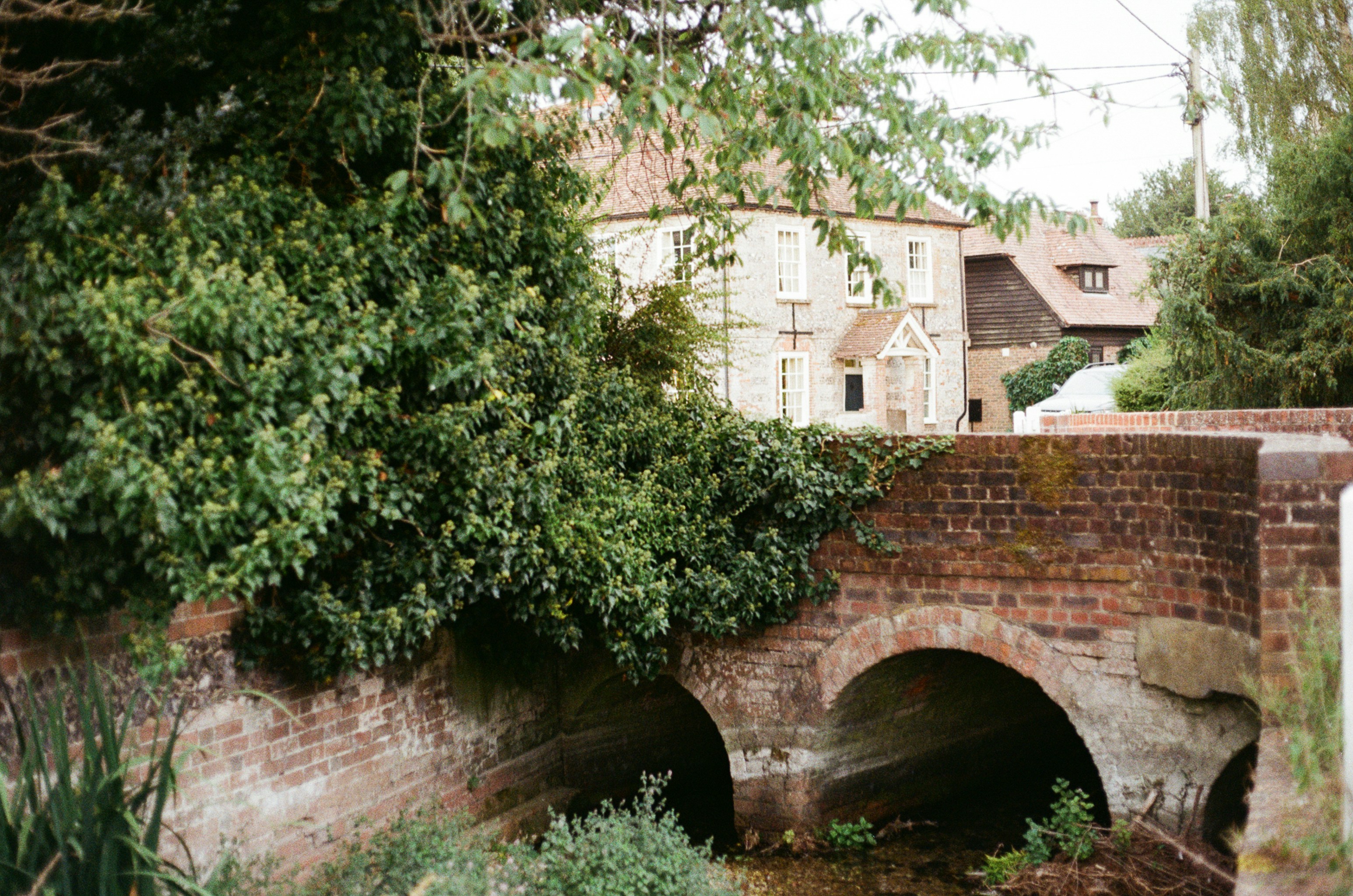 Photo by tanyabarrow