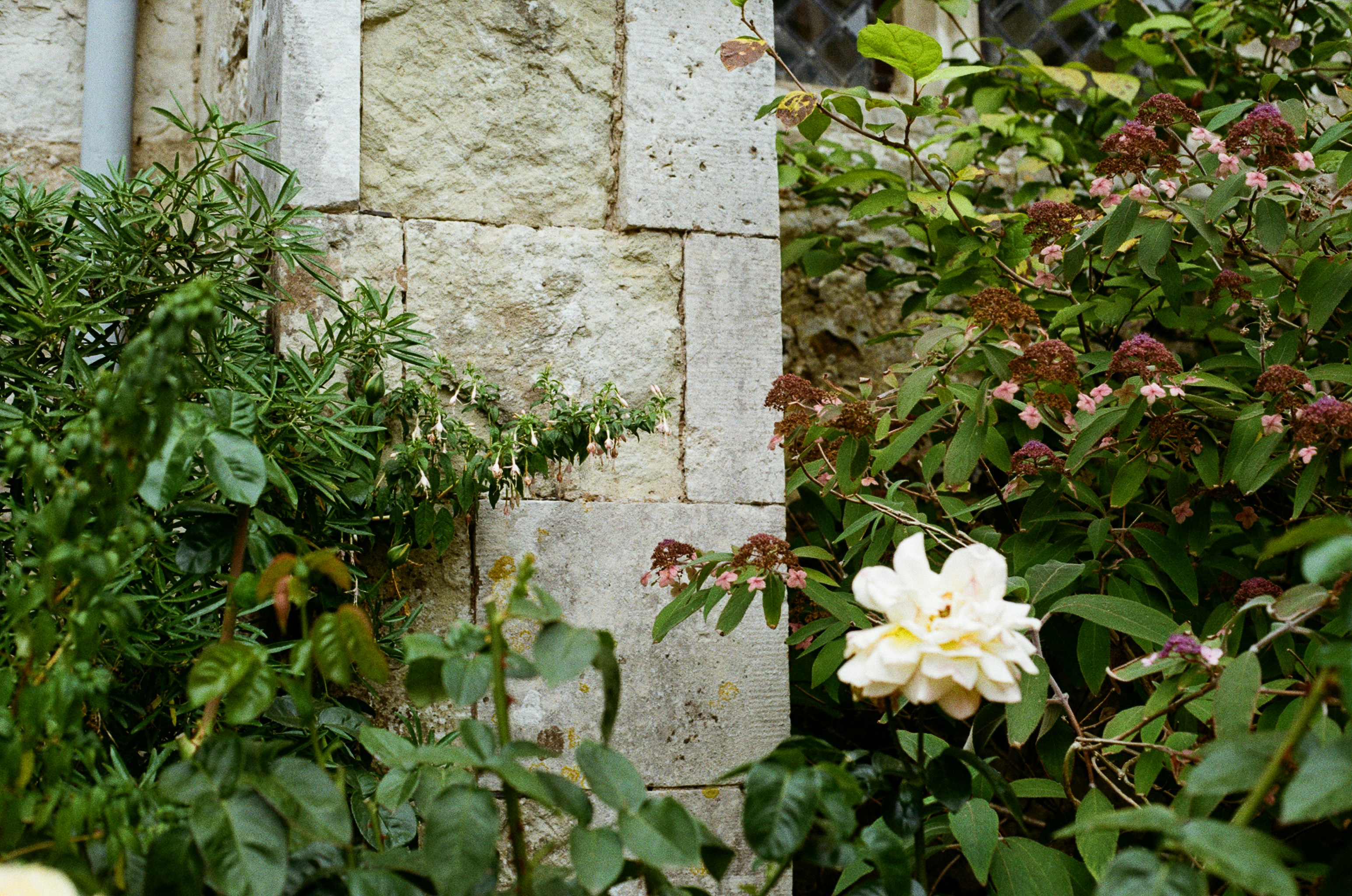 Photo by tanyabarrow