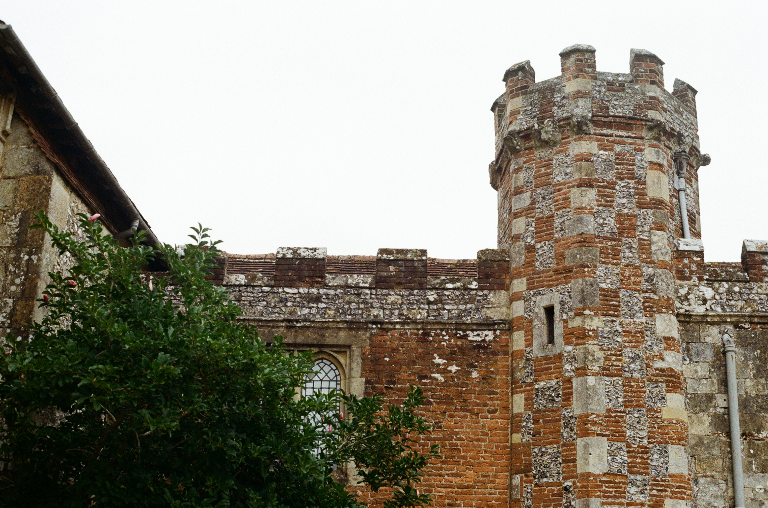 Photo by tanyabarrow