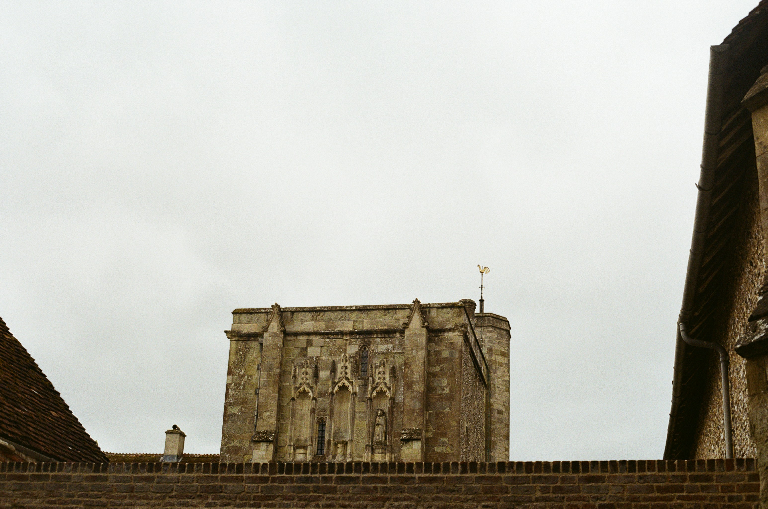 Photo by tanyabarrow