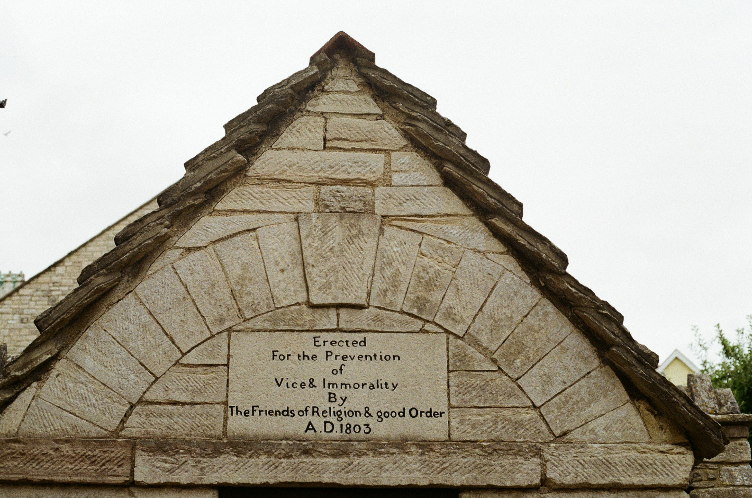 Photo by tanyabarrow