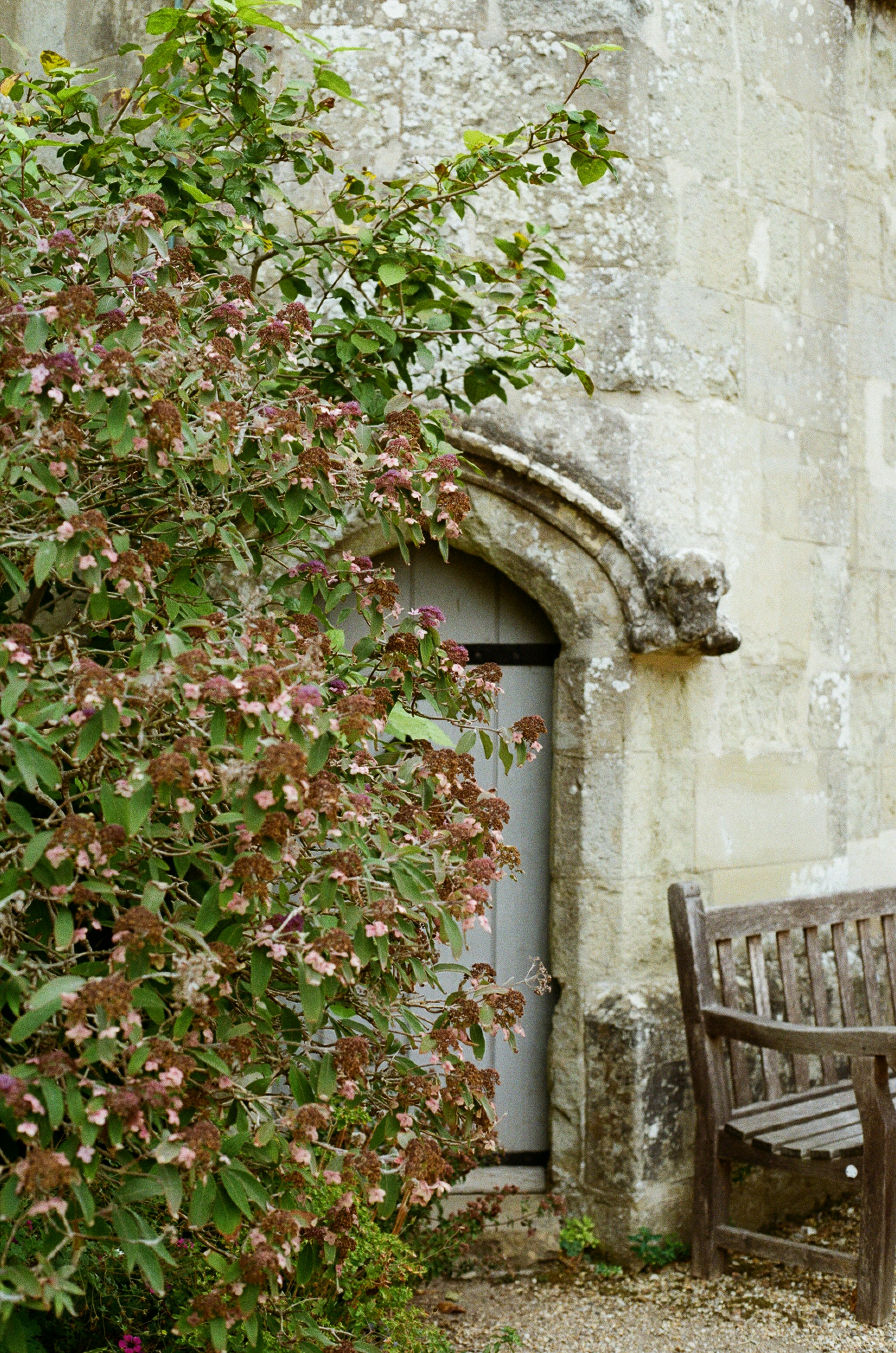 Photo by tanyabarrow