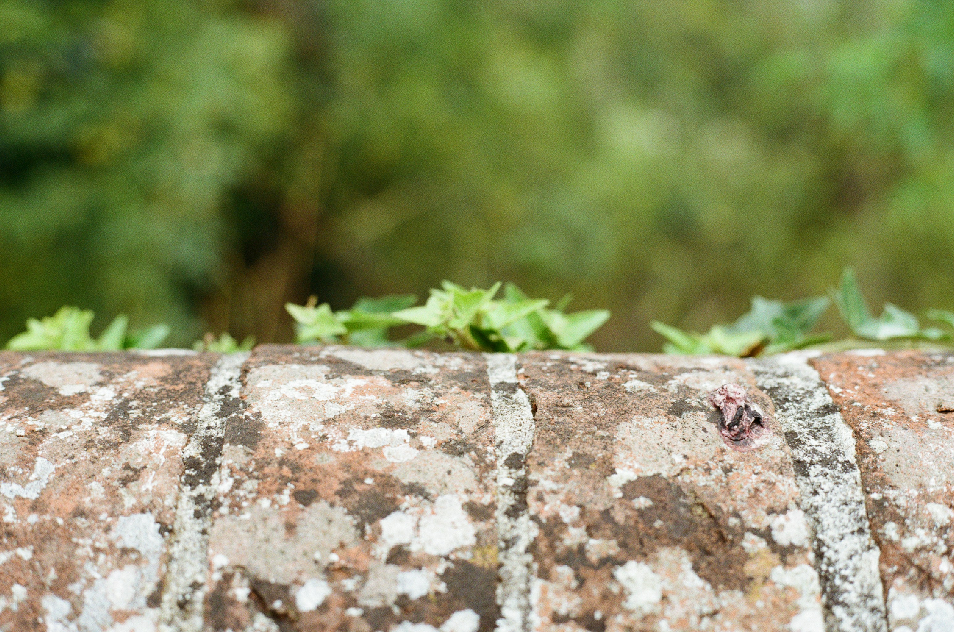 Photo by tanyabarrow